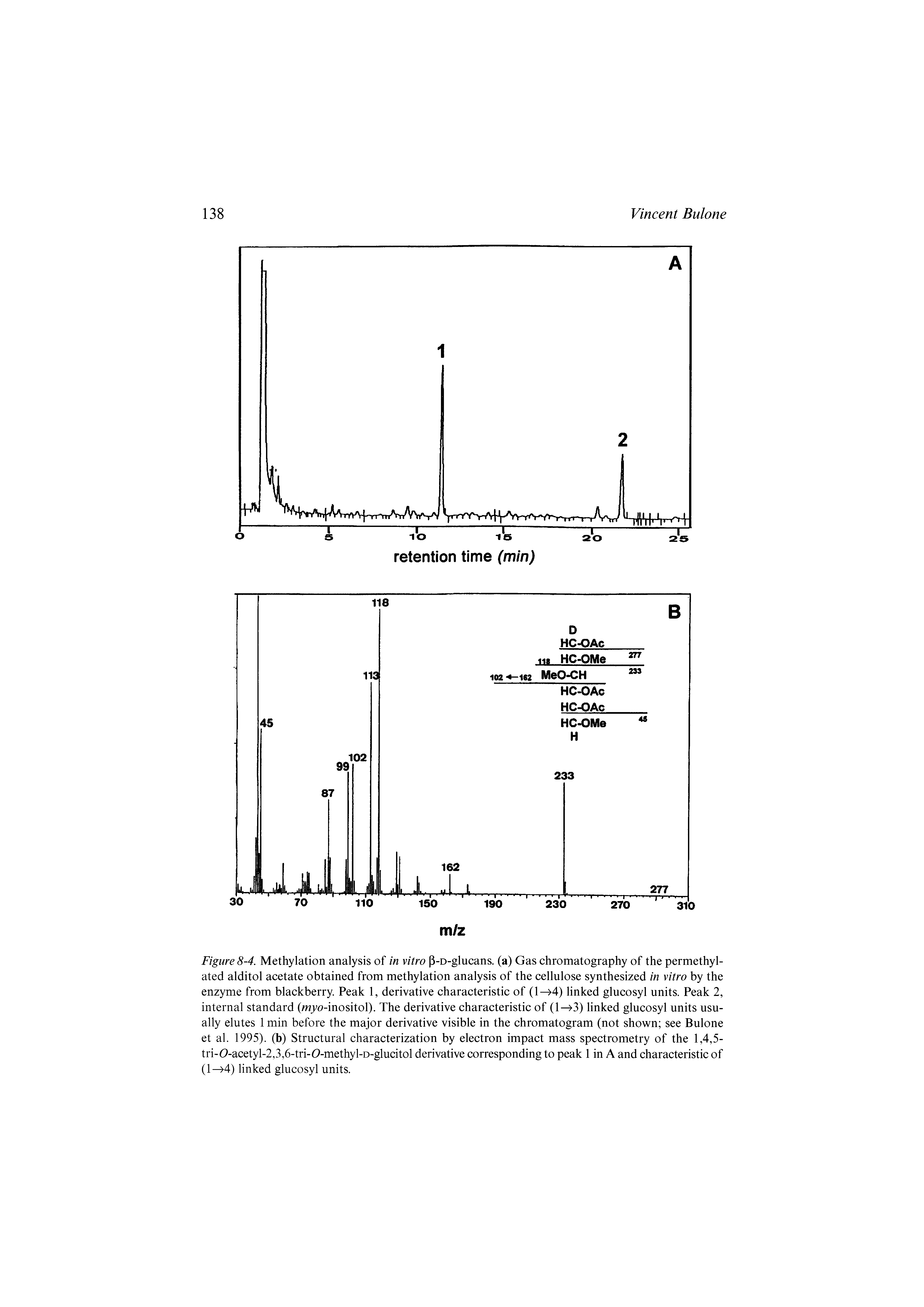 Figure 8-4. Methylation analysis of in vitro P-D-glucans. (a) Gas chromatography of the permethyl-ated alditol acetate obtained from methylation analysis of the cellulose synthesized in vitro by the enzyme from blackberry. Peak 1, derivative characteristic of (1 4) linked glucosyl units. Peak 2, internal standard (mj o-inositol). The derivative characteristic of (1 3) linked glucosyl units usually elutes 1 min before the major derivative visible in the chromatogram (not shown see Bulone et al. 1995). (b) Structural characterization by electron impact mass spectrometry of the 1,4,5-tri-0-acetyl-2,3,6-tri-0-methyl-D-glucitol derivative corresponding to peak 1 in A and characteristic of (1 4) linked glucosyl units.