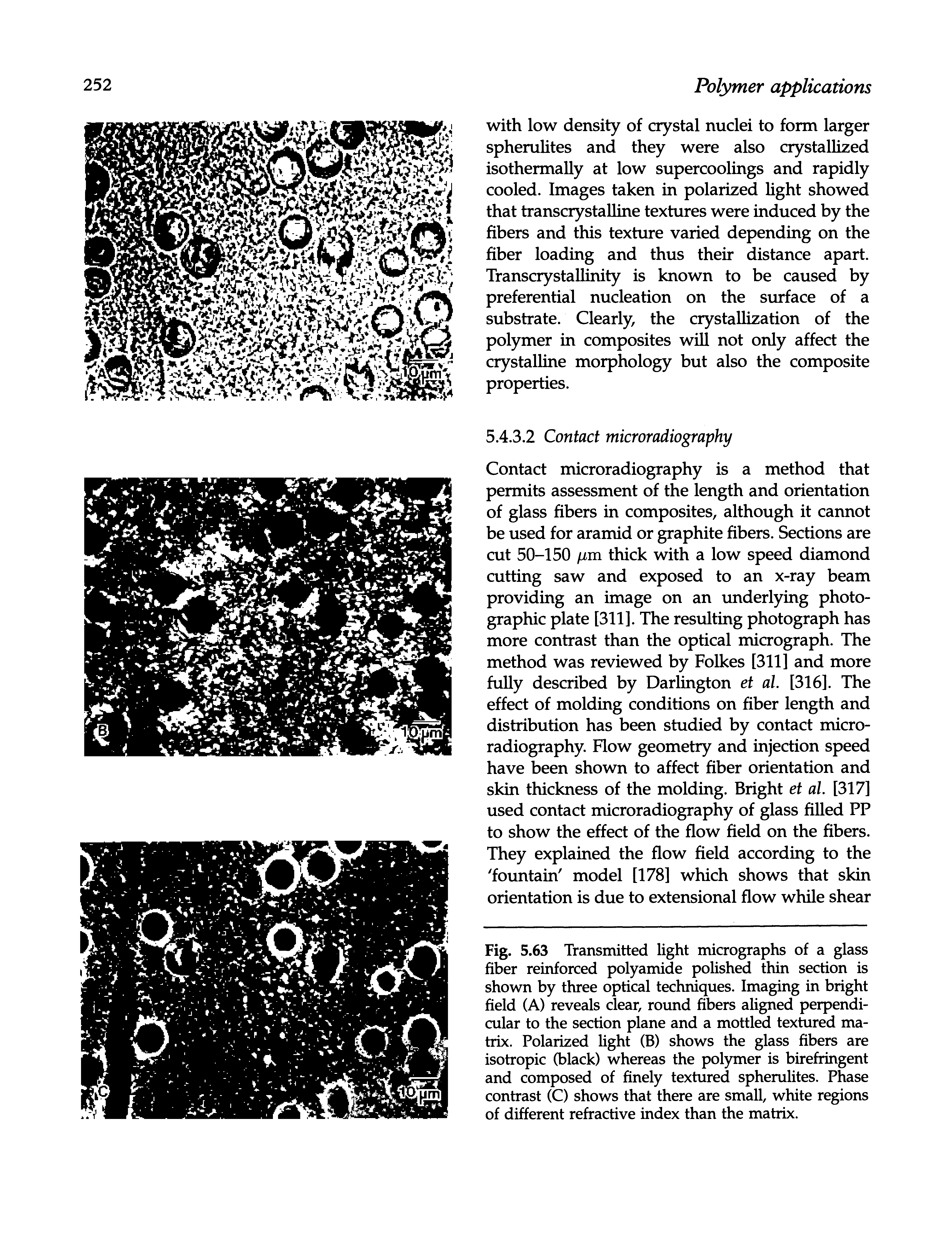 Fig. 5.63 Transmitted light micrographs of a glass fiber reinforced polyamide polished thin section is shown by three optical techniques. Imaging in bright field (A) reveals clear, round fibers aligned perpendicular to the section plane and a mottled textured matrix. Polarized light (B) shows the glass fibers are isotropic (black) whereas the polymer is birefringent and composed of finely textured spherulites. Phase contrast (C) shows that there are small, white regions of different refractive index than the matrix.