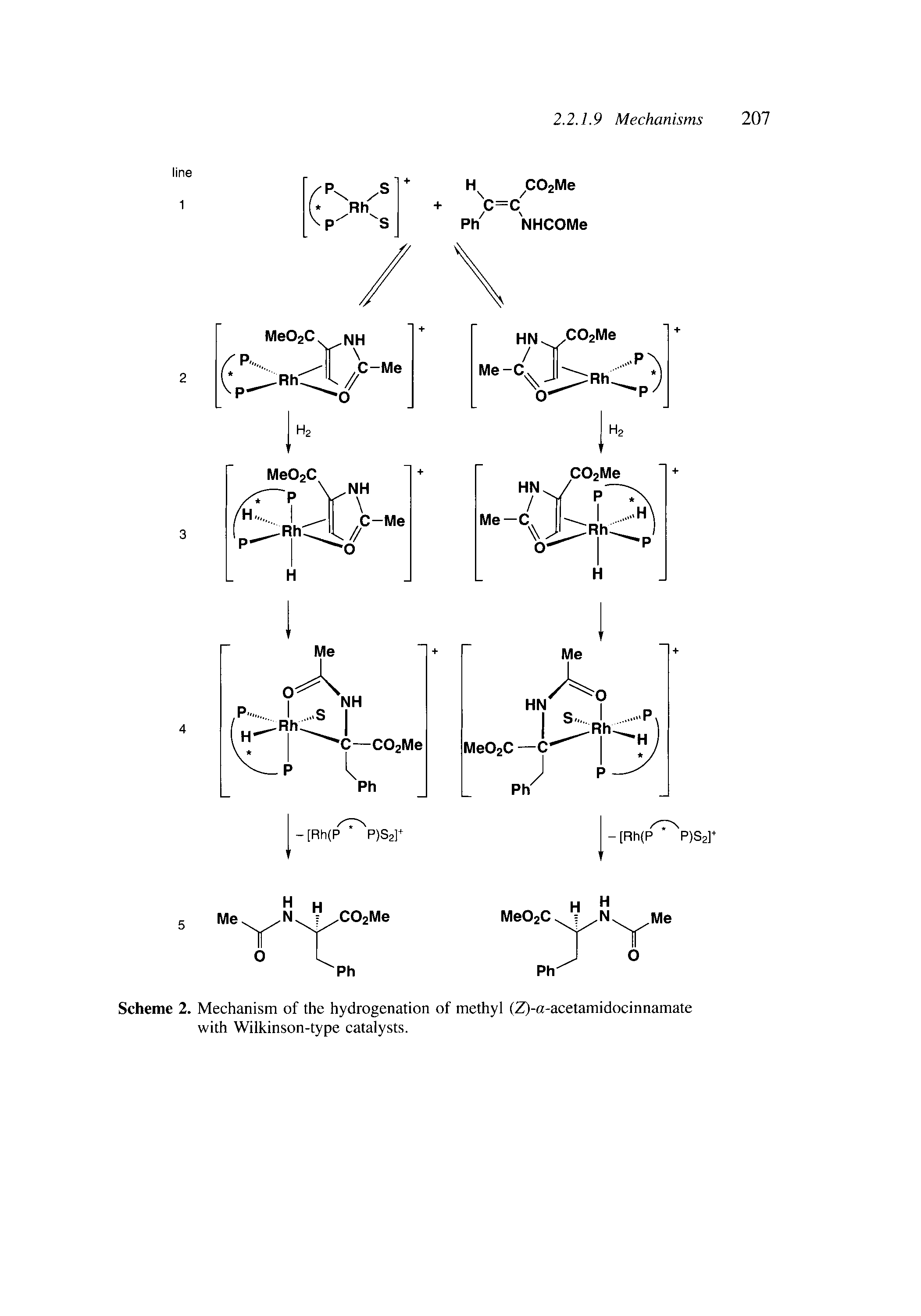 Scheme 2. Mechanism of the hydrogenation of methyl (Z)-a-acetamidocinnamate with Wilkinson-type catalysts.