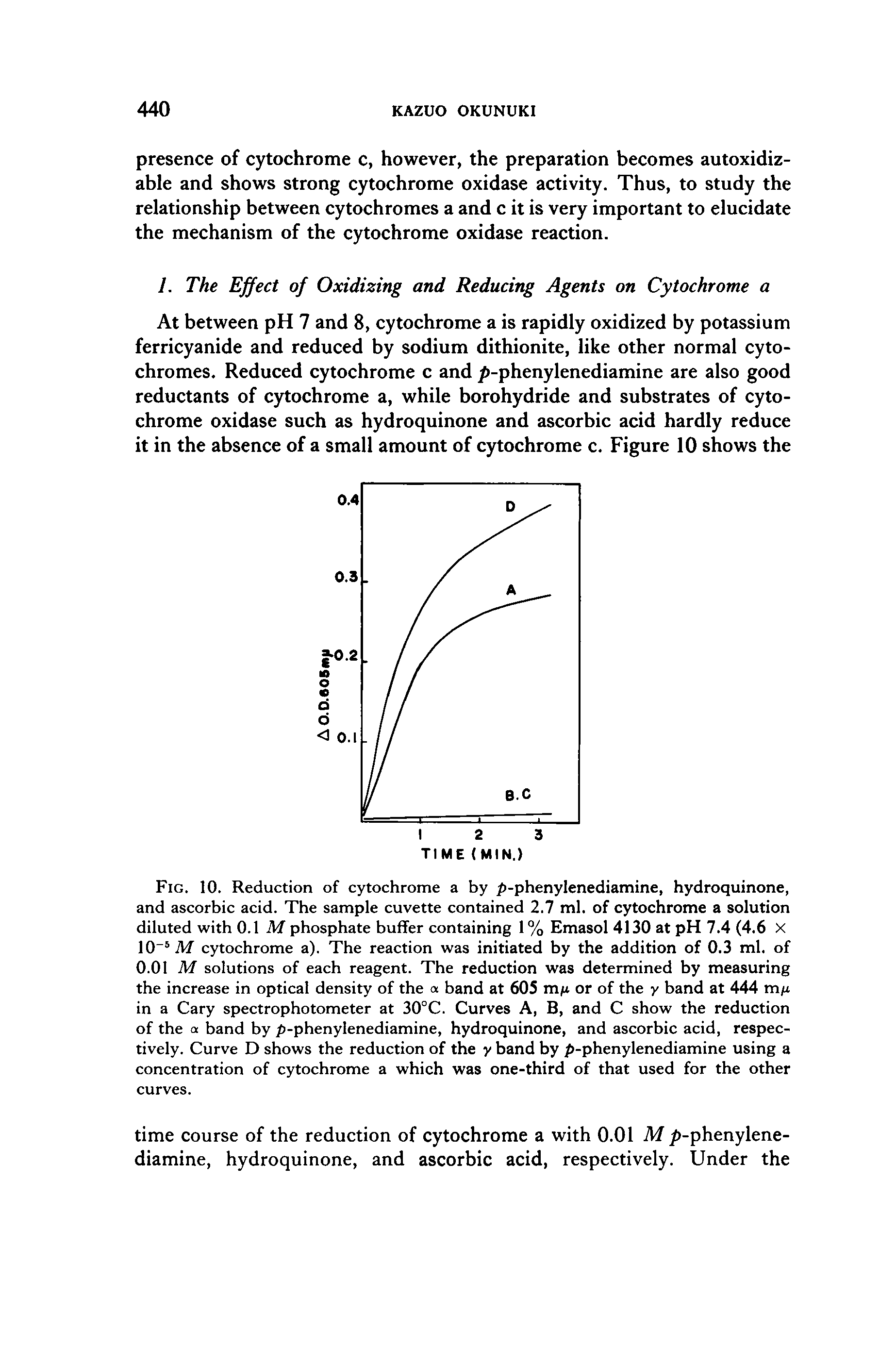Fig. 10. Reduction of cytochrome a by /)-phenylenediamine, hydroquinone, and ascorbic acid. The sample cuvette contained 2.7 ml. of cytochrome a solution diluted with 0.1 M phosphate buffer containing 1% Emasol 4130 at pH 7.4 (4.6 X 10 M cytochrome a). The reaction was initiated by the addition of 0.3 ml. of 0.01 M solutions of each reagent. The reduction was determined by measuring the increase in optical density of the a band at 605 mj or of the y band at 444 mu in a Cary spectrophotometer at 30°C. Curves A, B, and C show the reduction of the a band by p-pbenylenediamine, hydroquinone, and ascorbic acid, respectively. Curve D shows the reduction of the y band by p-phenylenediamine using a concentration of cytochrome a which was one-third of that used for the other curves.