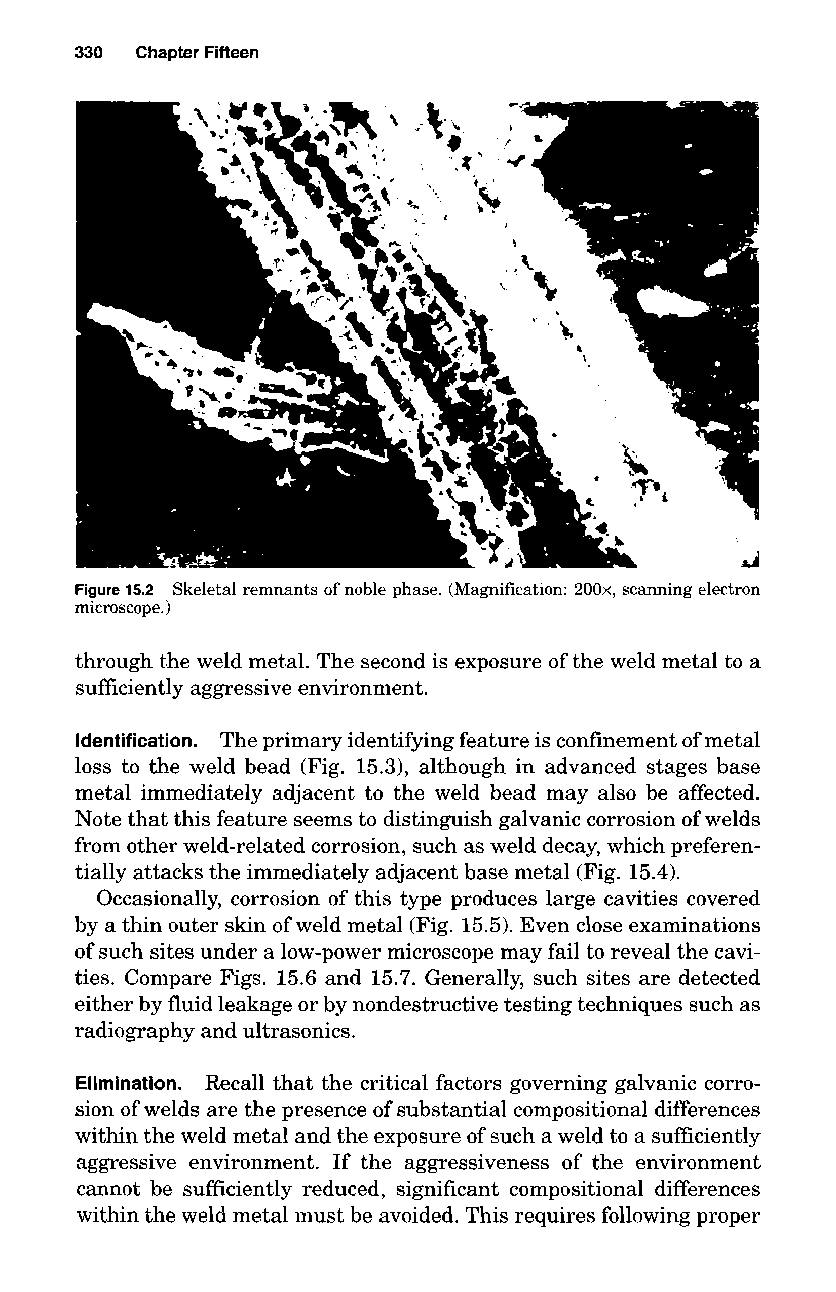 Figure 15.2 Skeletal remnants of noble phase. (Magnification 200x, scanning electron microscope.)...