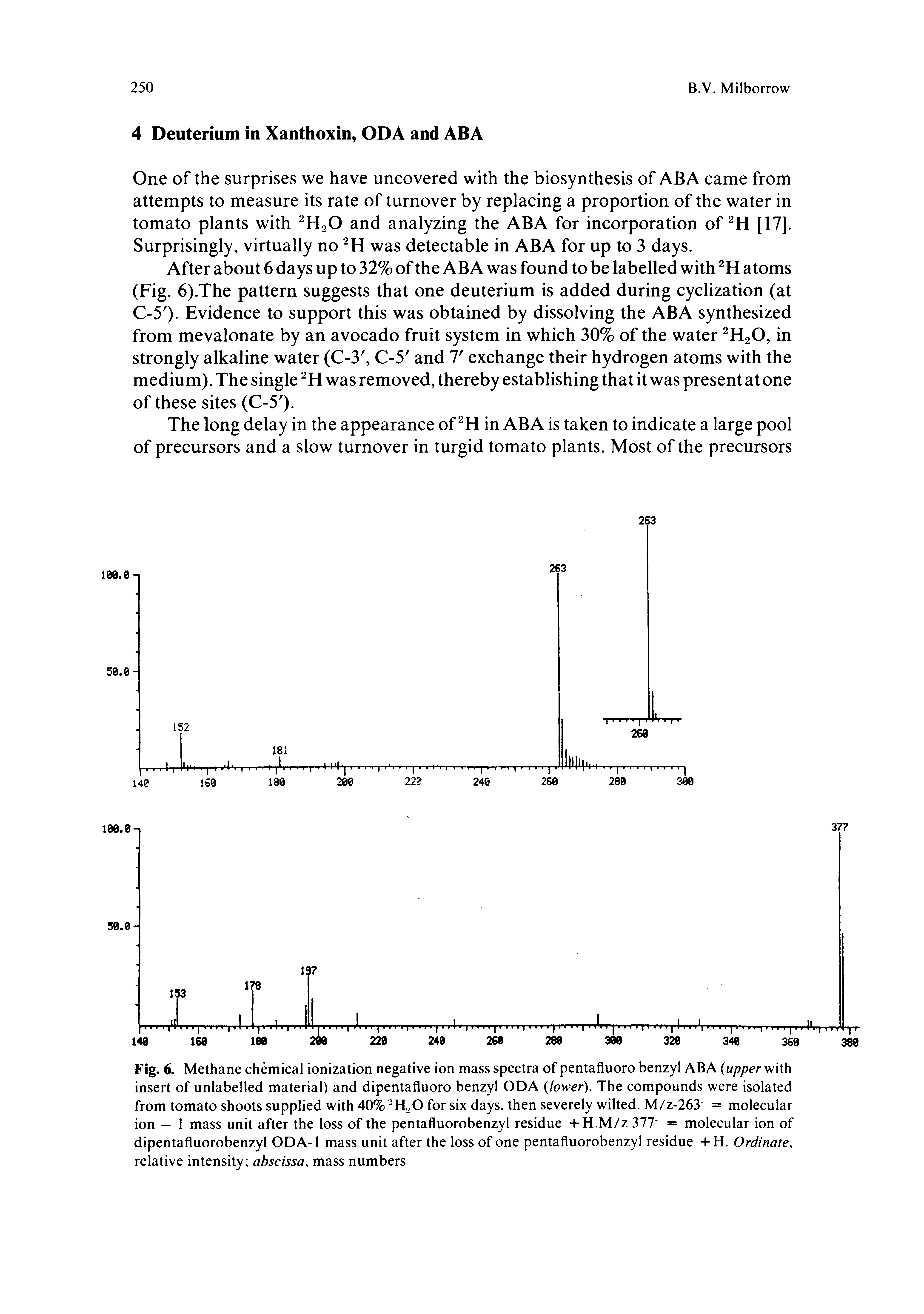 Fig. 6. Methane chemical ionization negative ion mass spectra of pentafluoro benzyl ABA upper with insert of unlabelled material) and dipentafluoro benzyl ODA lower). The compounds were isolated from tomato shoots supplied with 40% -H. >O for six days, then severely wilted. M/z-263 = molecular ion — 1 mass unit after the loss of the pentafluorobenzyl residue +H.M/Z 377 = molecular ion of dipentafluorobenzyl ODA-1 mass unit after the loss of one pentafluorobenzyl residue +H. Ordinate. relative intensity abscissa, mass numbers...