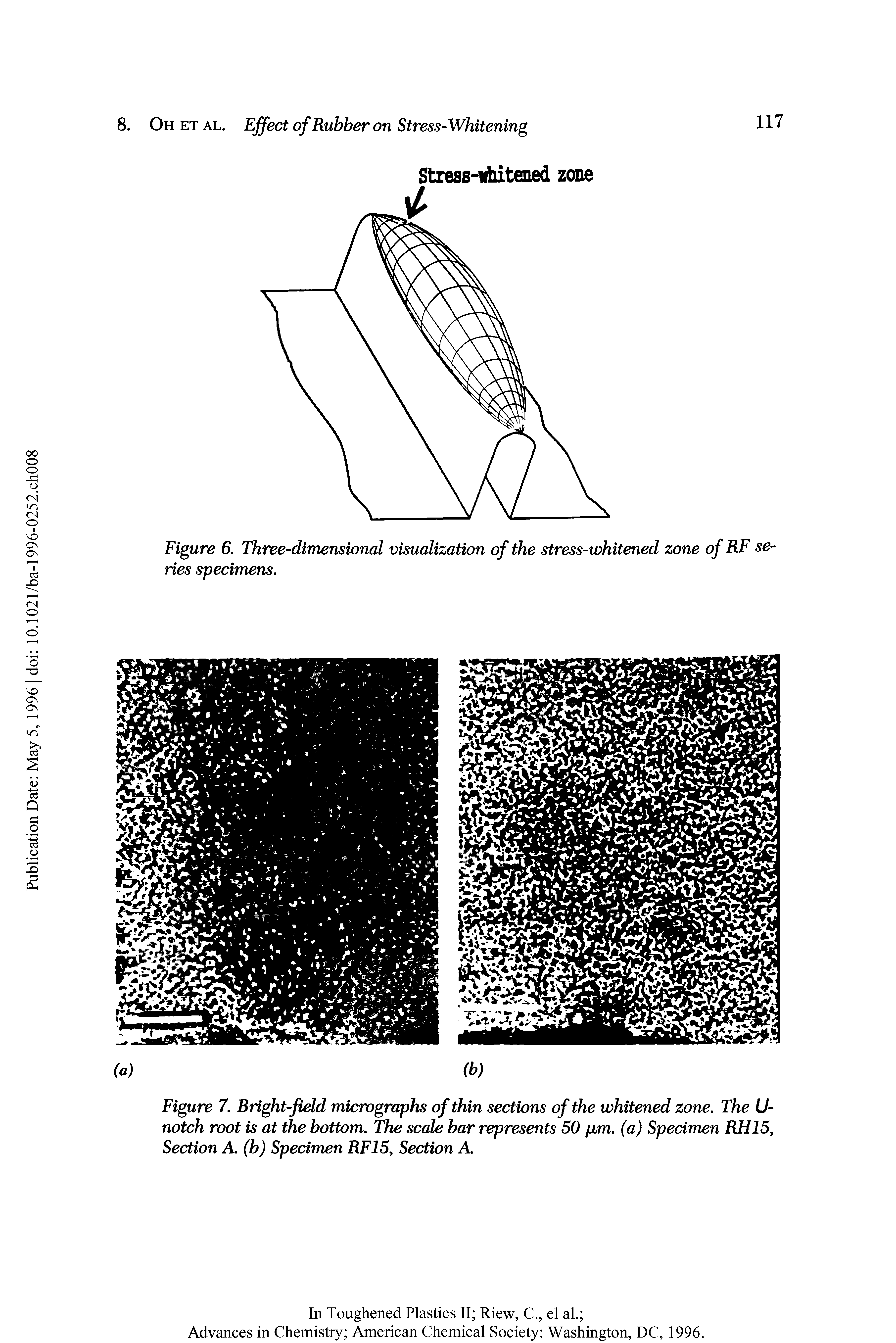Figure 7. Bright-field micrographs of thin sections of the whitened zone. The U-notch root is at the bottom. The scale bar represents 50 pm. (a) Specimen RH15, Section A. (b) Specimen RF15, Section A.