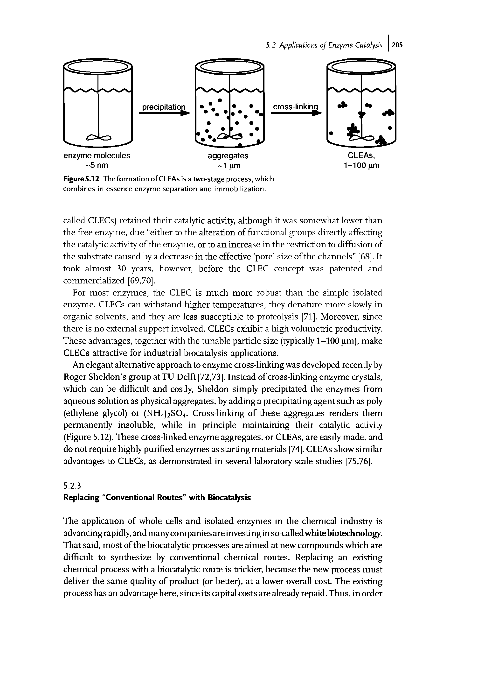 Figure 5.12 The formation of CLEAs is a two-stage process, which combines in essence enzyme separation and immobilization.