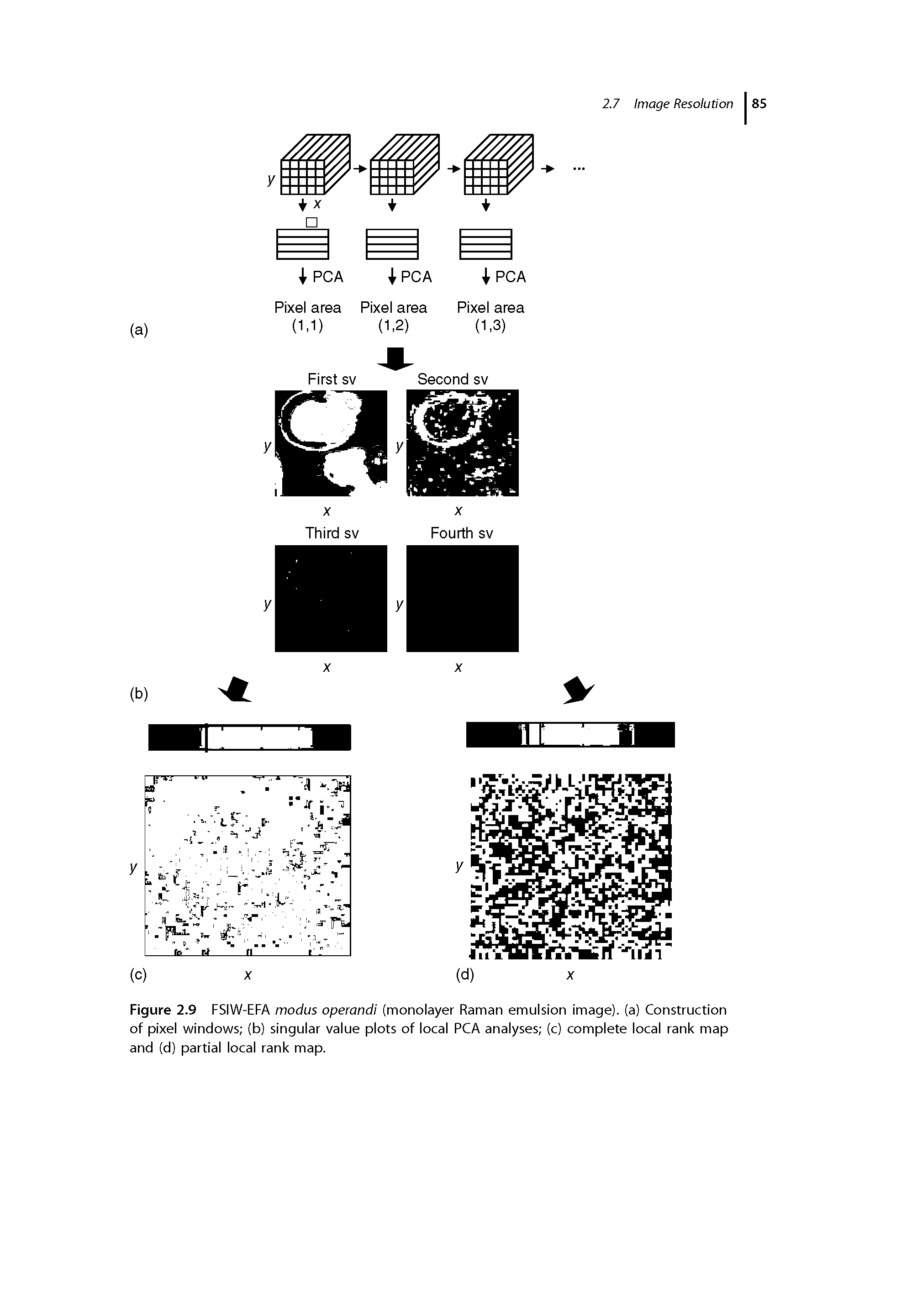 Figure 2.9 FSIW-EFA modus operand (monolayer Raman emulsion image), (a) Construction of pixel windows (b) singular value plots of local PCA analyses (c) complete local rank map and (d) partial local rank map.