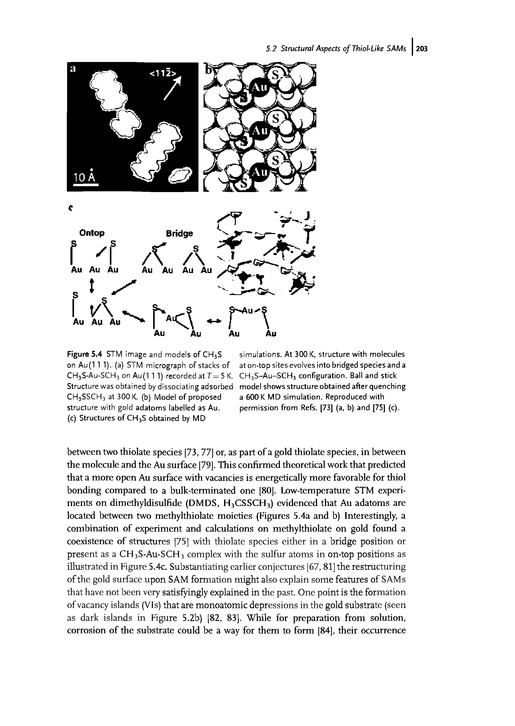 Figure 5.4 STM image and models of CH3S on Au(l 1 1). (a) STM micrograph of stacks of CH3S-AU-SCH3 on Au(l 1 1) recorded atT=5K. Structure was obtained by dissociating adsorbed CH3SSCH3 at 300 K. (b) Model of proposed structure with gold adatoms labelled as Au.