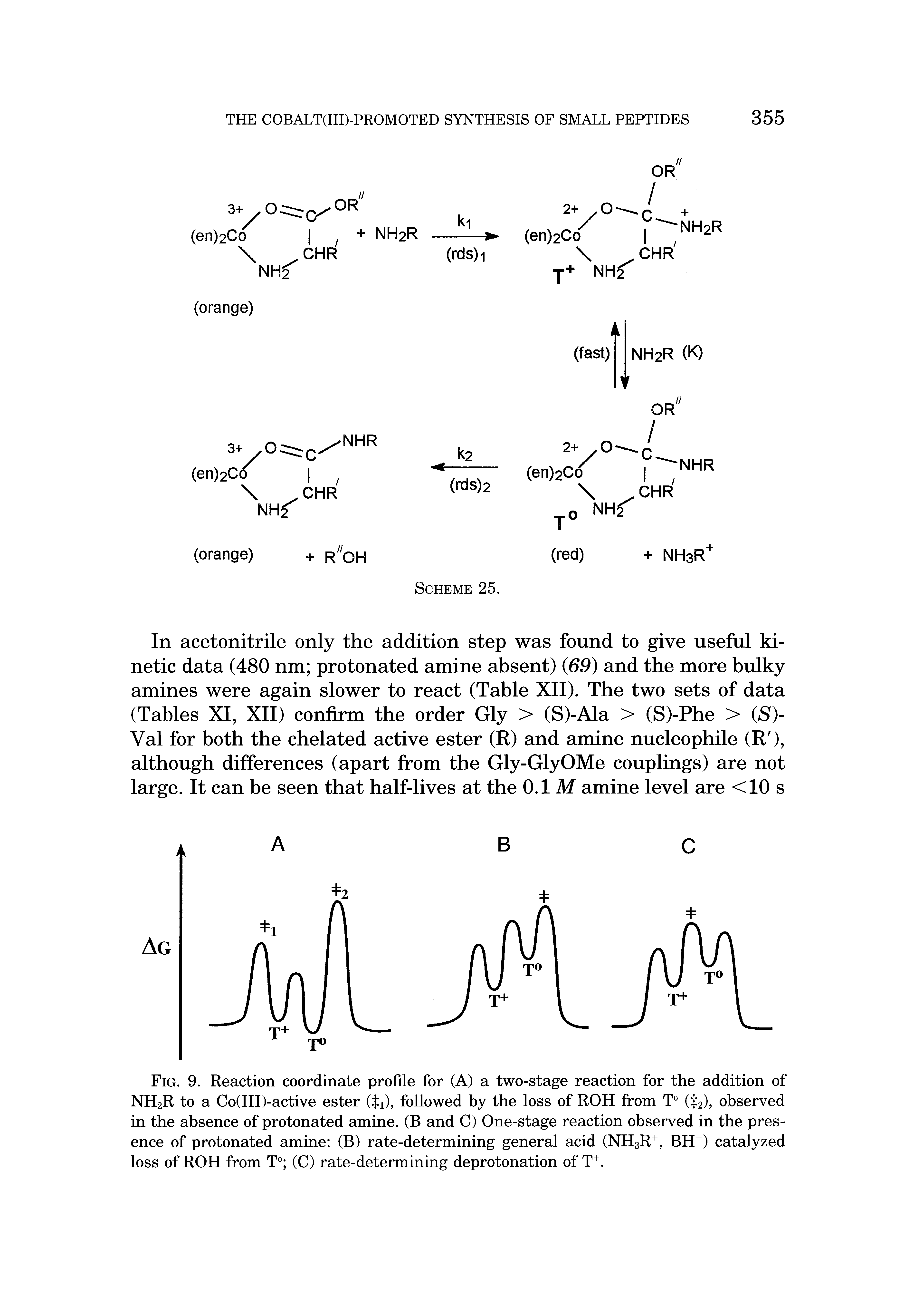 Fig. 9. Reaction coordinate profile for (A) a two-stage reaction for the addition of NH2R to a Co(III)-active ester (ti), followed by the loss of ROH from T° ( j 2), observed in the absence of protonated amine. (B and C) One-stage reaction observed in the presence of protonated amine (B) rate-determining general acid (NH3R+, BH+) catalyzed loss of ROH from T° (C) rate-determining deprotonation of T+.