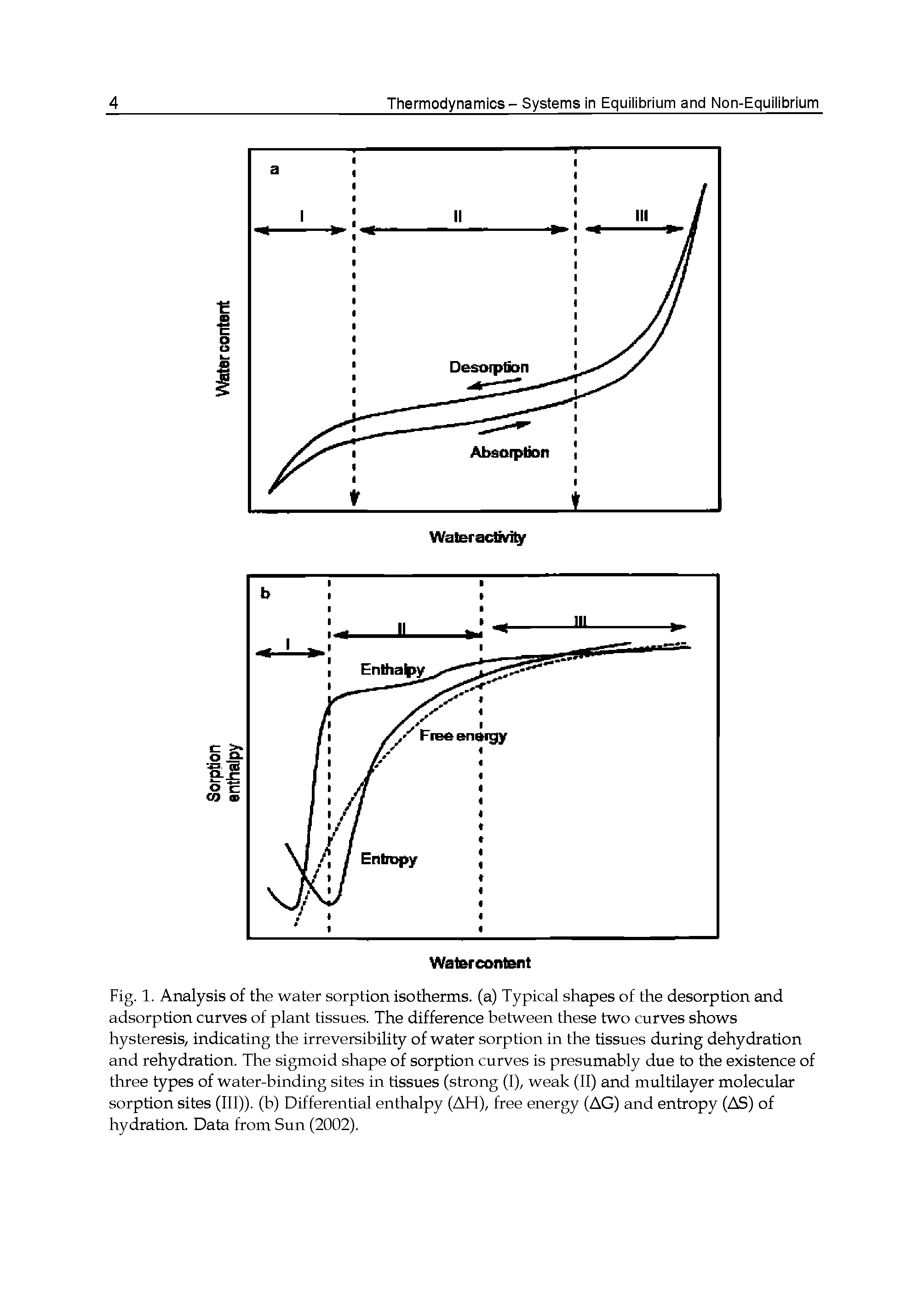 Fig. 1. Analysis of the water sorption isotherms, (a) Typical shapes of the desorption and adsorption curves of plant tissues. The difference between these two curves shows hysteresis, indicating the irreversibility of water sorption in the tissues during dehydration and rehydration. The sigmoid shape of sorption curves is presumably due to the existence of three types of water-binding sites in tissues (strong (I), weak (II) and multilayer molecular sorption sites (III)), (b) Differential enthalpy (AH), free energy (AG) and entropy (AS) of hydration. Data from Sun (2002).