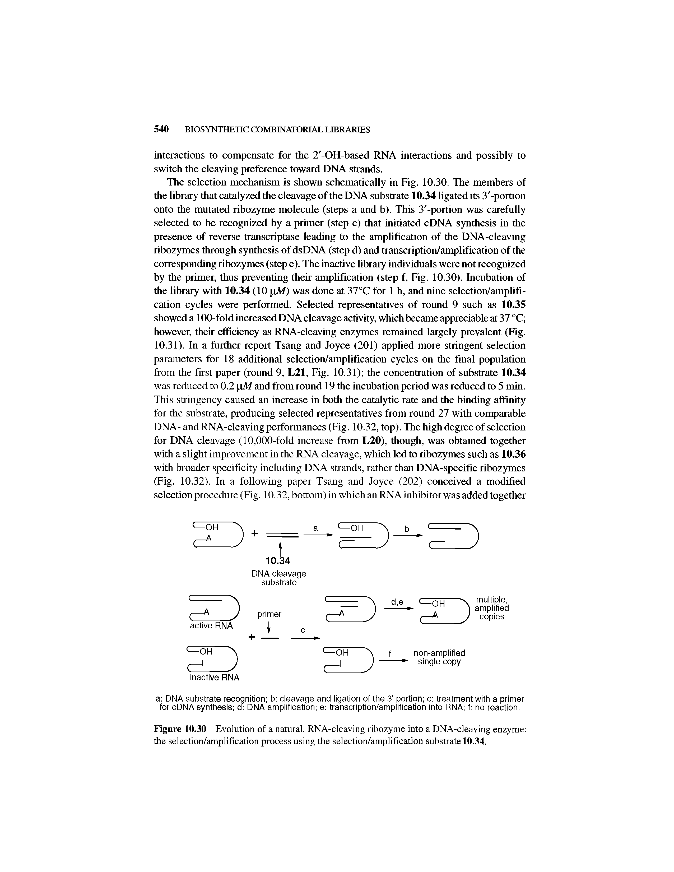 Figure 10.30 Evolution of a natural, RNA-cleaving ribozyme into a DNA-cleaving enzyme the selection/amplification process using the selection/amplification substrate 10.34.