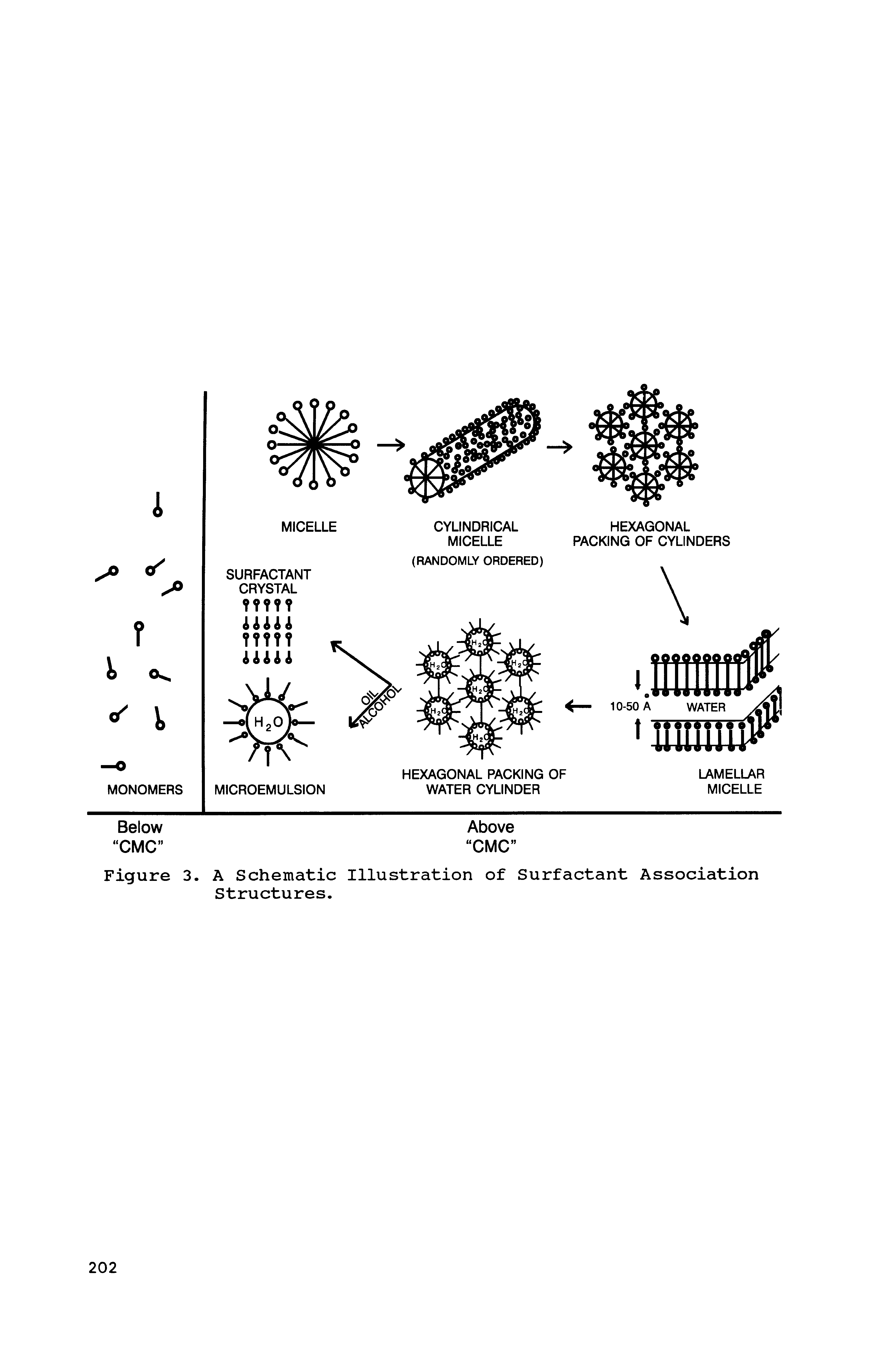 Figure 3. A Schematic Illustration of Surfactant Association Structures.