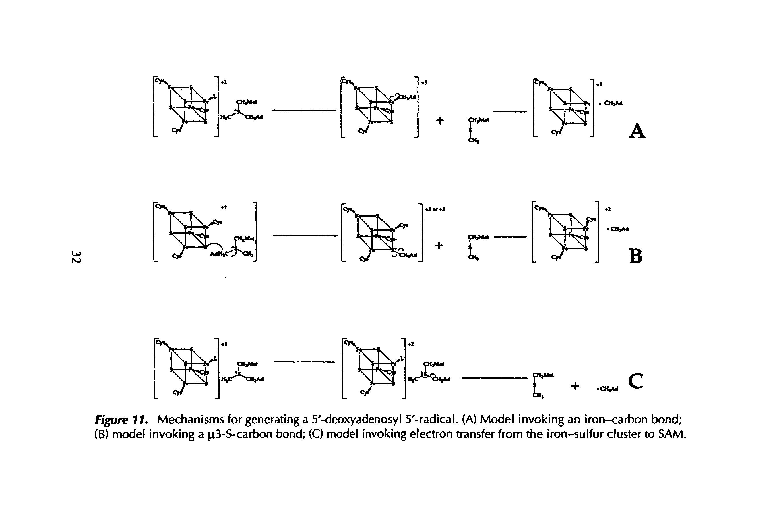 Figure 11. Mechanisms for generating a 5 -deoxyadenosyl 5 -radical. (A) Model invoking an iron-carbon bond (B) model invoking a n,3-S-carbon bond (C) model invoking electron transfer from the iron-sulfur cluster to SAM.