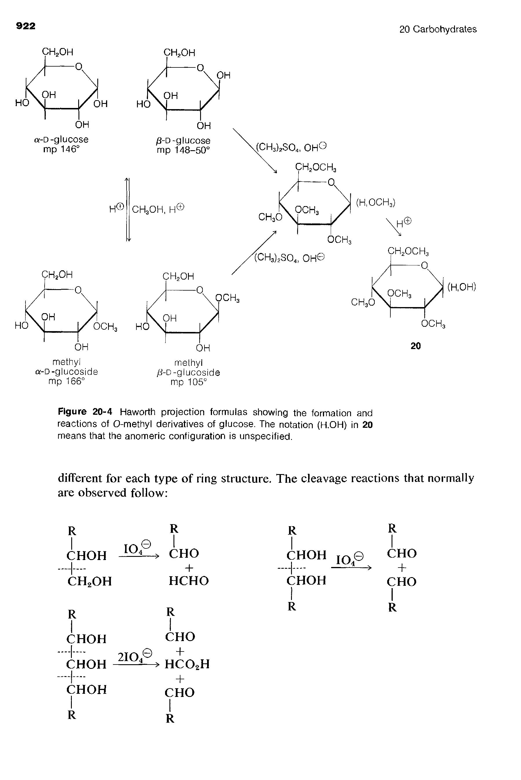 Figure 20-4 Haworth projection formulas showing the formation and reactions of O-methyl derivatives of glucose. The notation (H.OH) in 20 means that the anomeric configuration is unspecified.