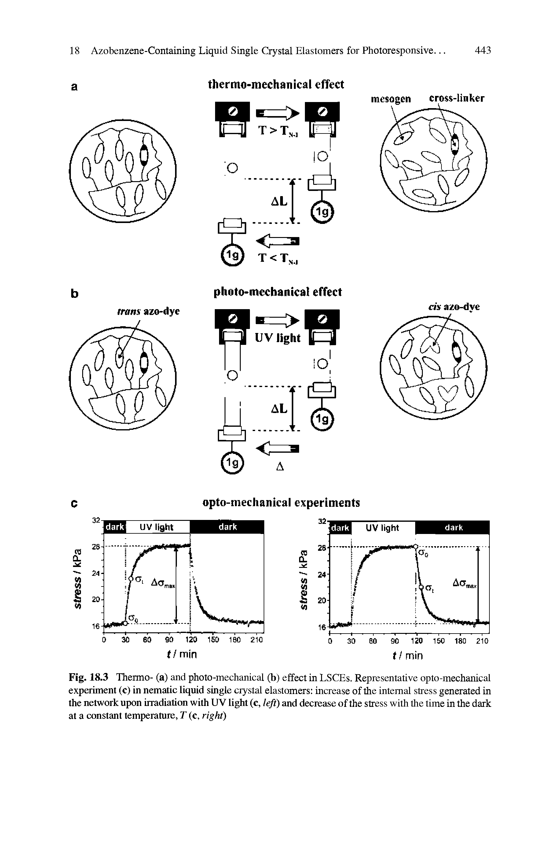 Fig. 18.3 Thermo- (a) and photo-mechanical (b) effect in LSCEs. Representative opto-mechanical experiment (c) in nematic liquid single crystal elastomers increase of the internal stress generated in the network upon irradiation with UV light (c, left) and decrease of the stress with the time in the dark at a constant temperature, T (c, right)...