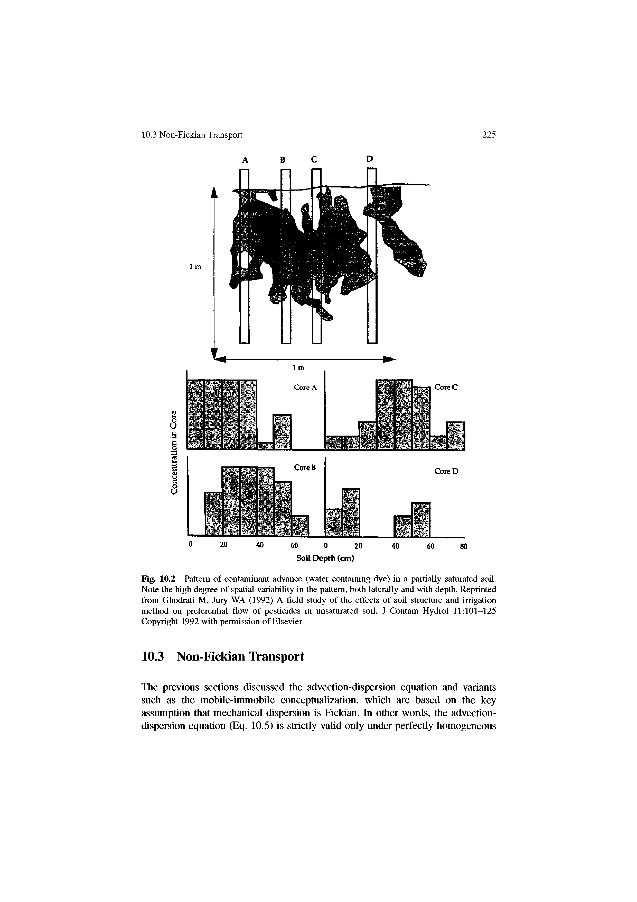 Fig. 10.2 Pattern of contaminant advance (water containing dye) in a partially saturated soil. Note the high degree of spatial variability in the pattern, both laterally and with depth. Reprinted from Ghodrati M, Jury WA (1992) A field study of the effects of soil structure and irrigation method on preferential flow of pesticides in unsaturated soil. J Contam Hydrol 11 101-125 Copyright 1992 with permission of Elsevier...
