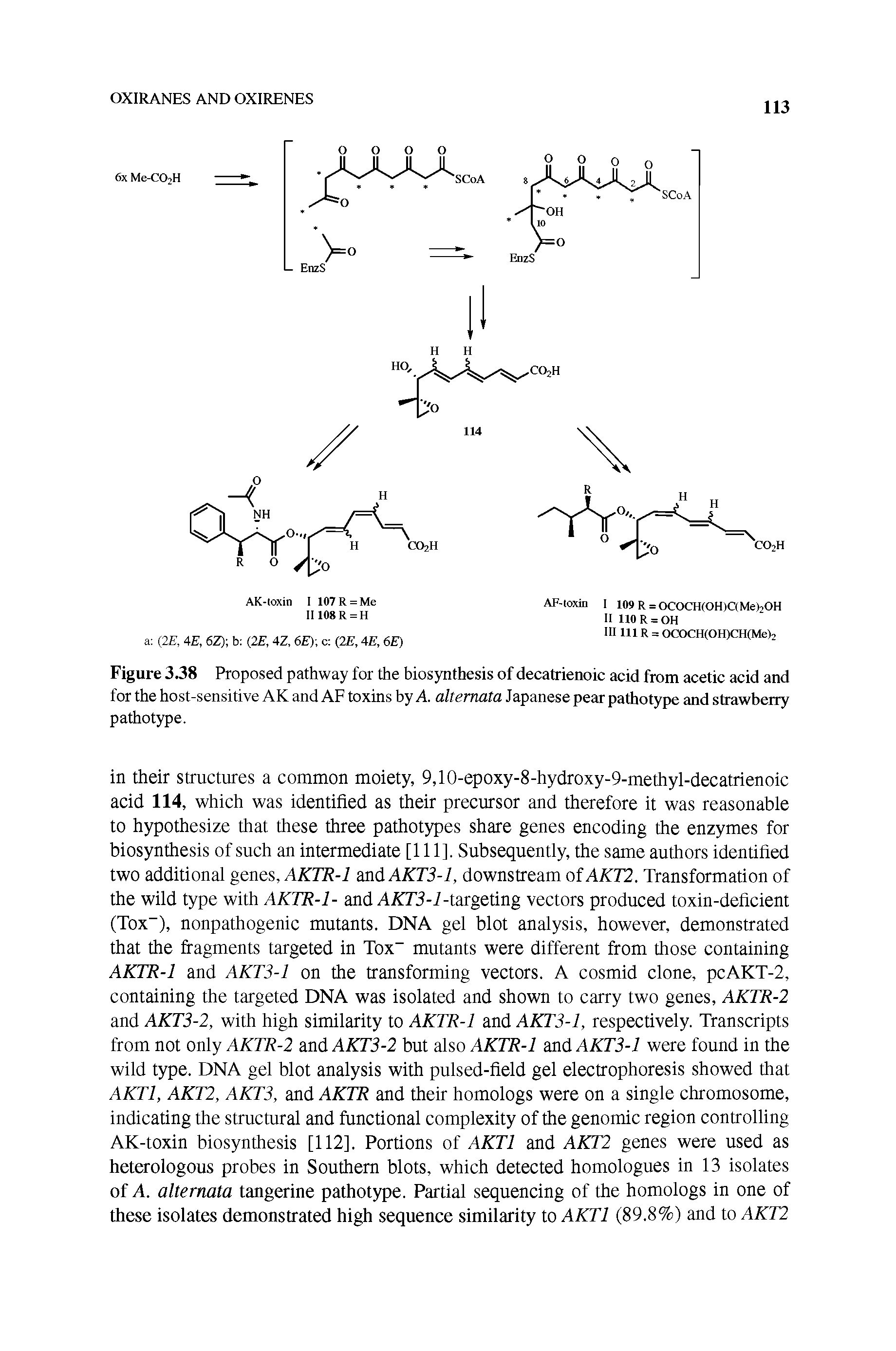 Figure 3.38 Proposed pathway for the biosynthesis of decatrienoic acid from acetic acid and for the host-sensitive AK and AF toxins by A altemata Japanese pear pathotype and strawberry pathotype.