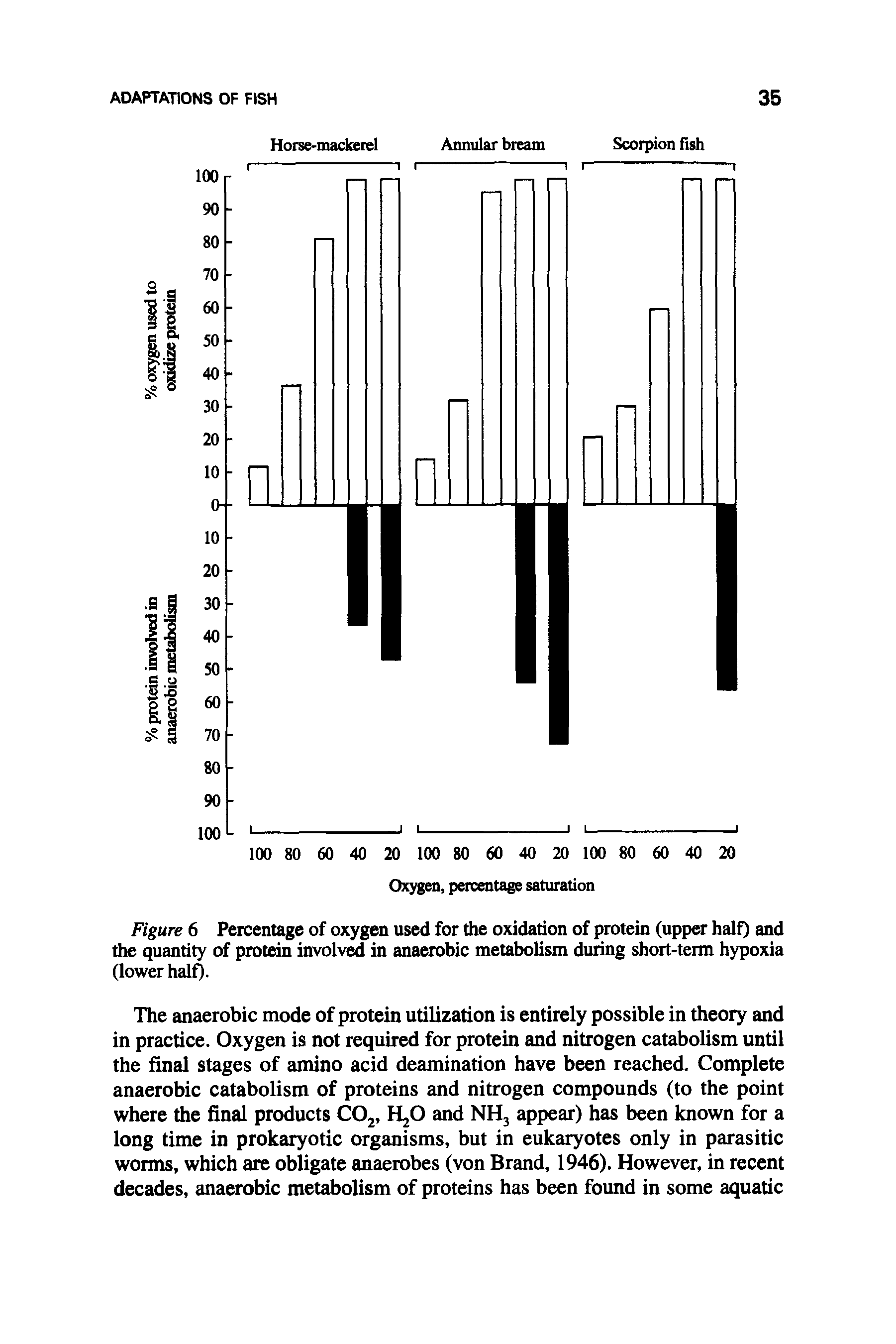 Figure 6 Percentage of oxygen used for the oxidation of protein (upper half) and the quantity of protein involved in anaerobic metabolism during short-term hypoxia (lower half).