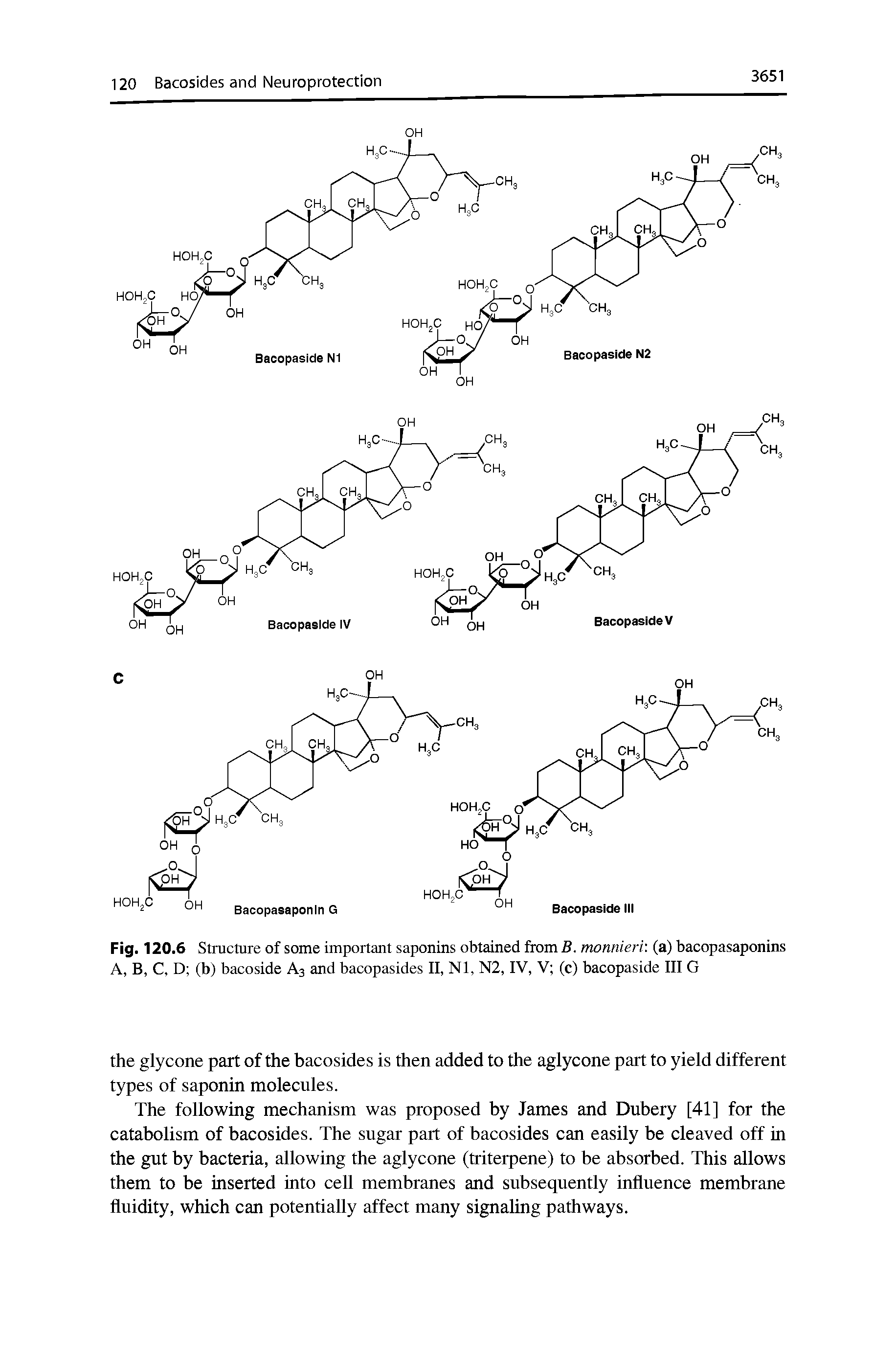 Fig. 120.6 Structure of some important saponins obtained from B. monnierv. (a) bacopasaponins A, B, C, D (b) bacoside A3 and bacopasides II, Nl, N2, IV, V (c) bacopaside III G...