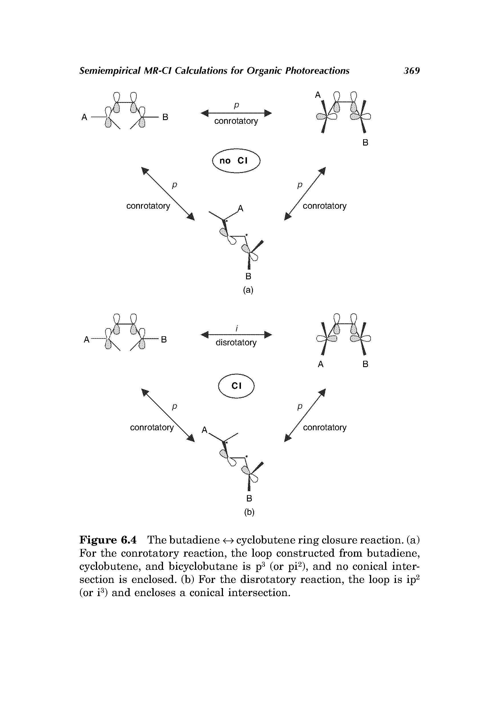 Figure 6.4 The butadiene cyclobutene ring closure reaction, (a) For the conrotatory reaction, the loop constructed from butadiene, cyclobutene, and bicyclobutane is p (or pi ), and no conical intersection is enclosed, (b) For the disrotatory reaction, the loop is ip (or i ) and encloses a conical intersection.