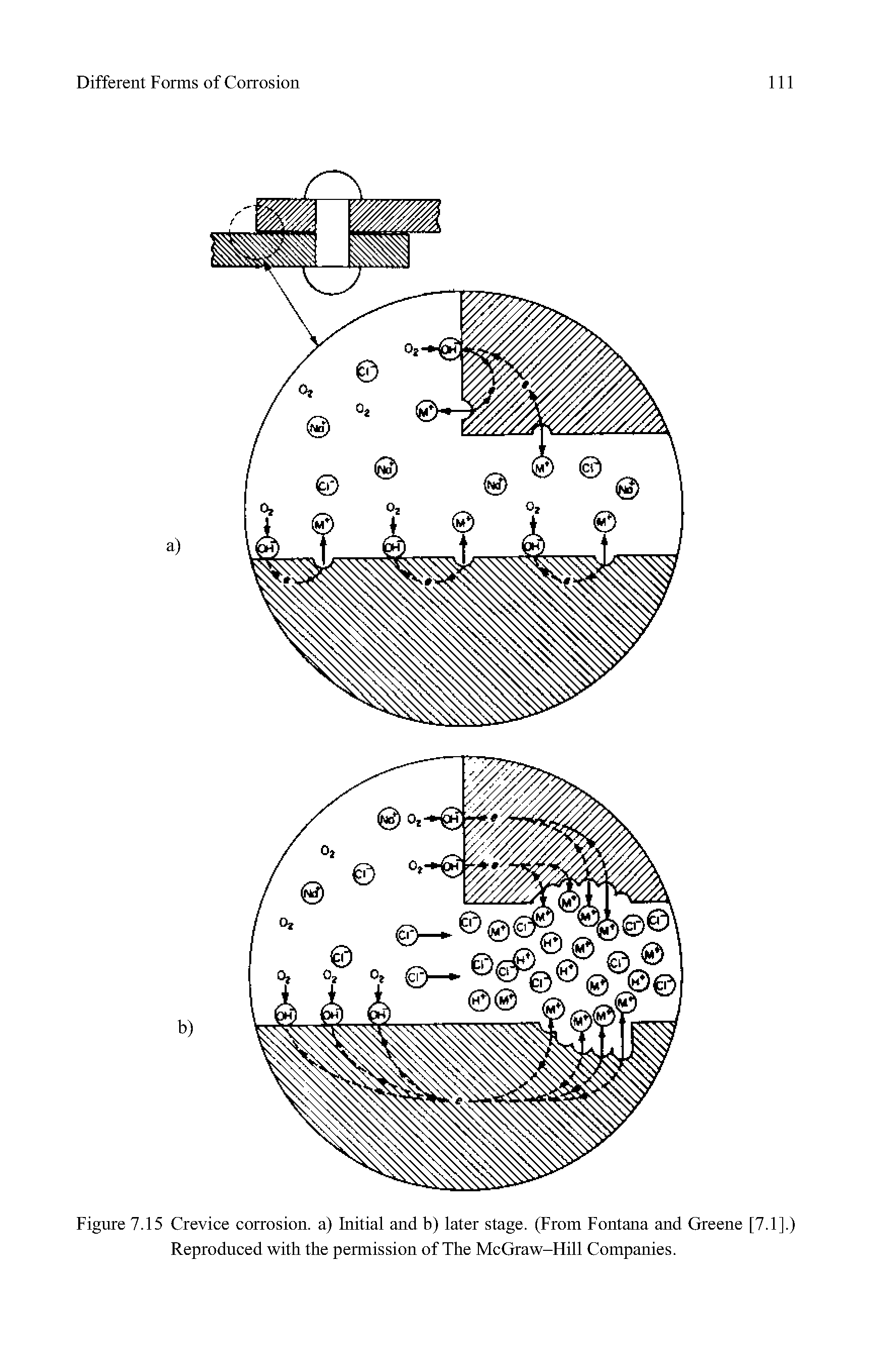 Figure 7.15 Crevice corrosion, a) Initial and b) later stage. (From Fontana and Greene [7.1].) Reproduced with the permission of The McGraw-Flill Companies.