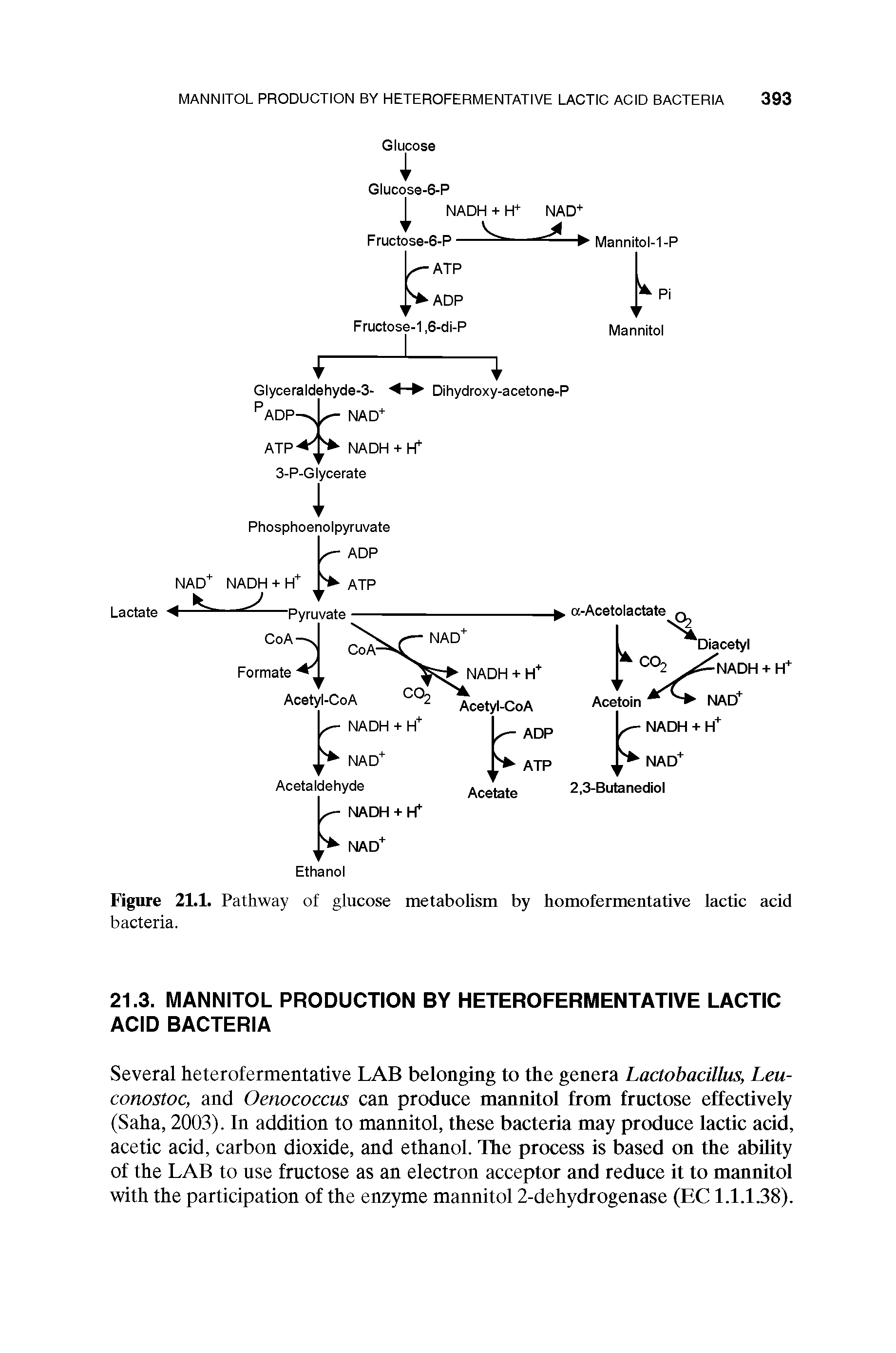 Figure 21.1. Pathway of glucose metabolism by homofermentative lactic acid bacteria.