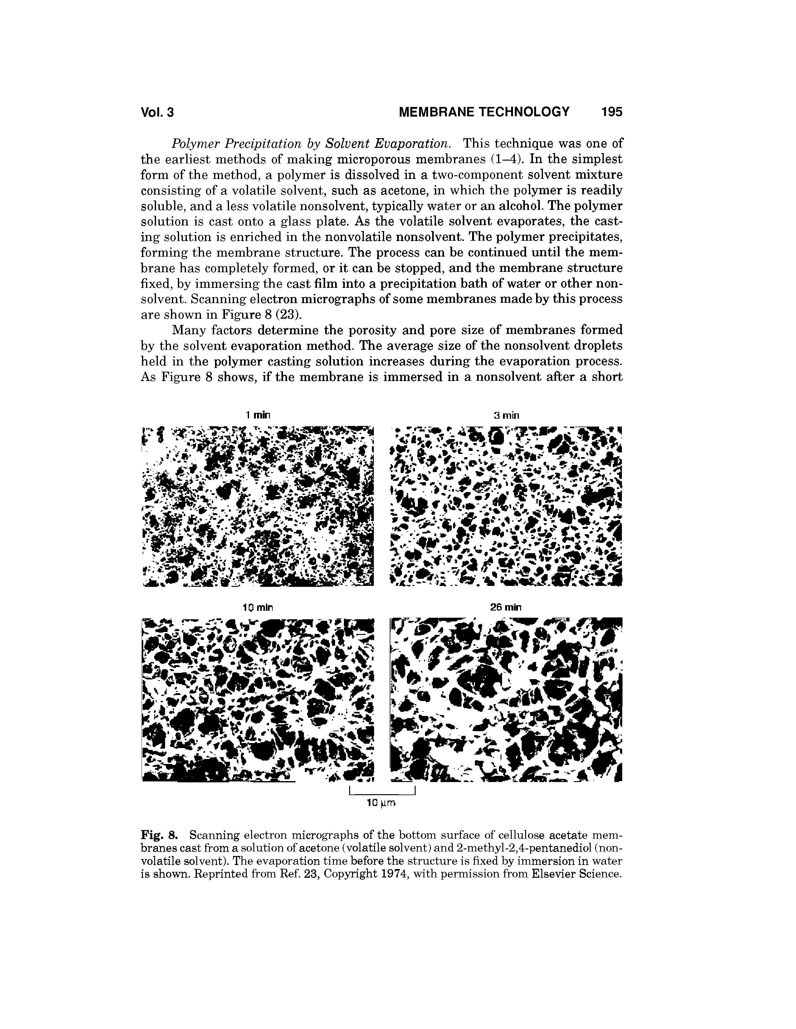 Fig. 8. Scanning electron micrographs of the bottom surface of cellulose acetate membranes cast from a solution of acetone (volatile solvent) and 2-methyl-2,4-pentanediol (nonvolatile solvent). The evaporation time before the structure is fixed by immersion in water is shown. Reprinted from Ref. 23, Cop3Tight 1974, with permission from Elsevier Science.