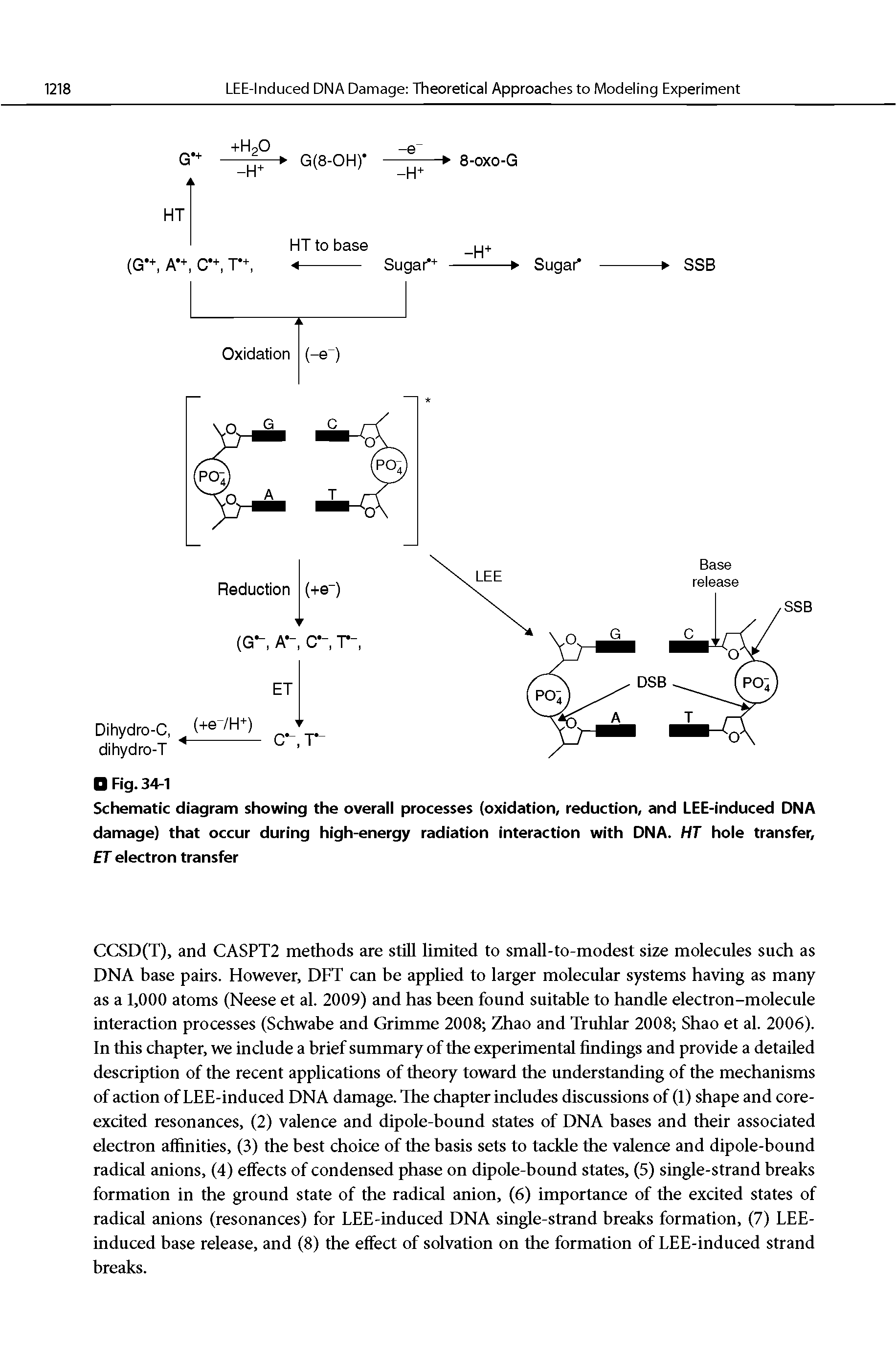 Schematic diagram showing the overall processes (oxidation, reduction, and LEE-Induced DNA damage) that occur during high-energy radiation interaction with DNA. HT hole transfer, ET electron transfer...