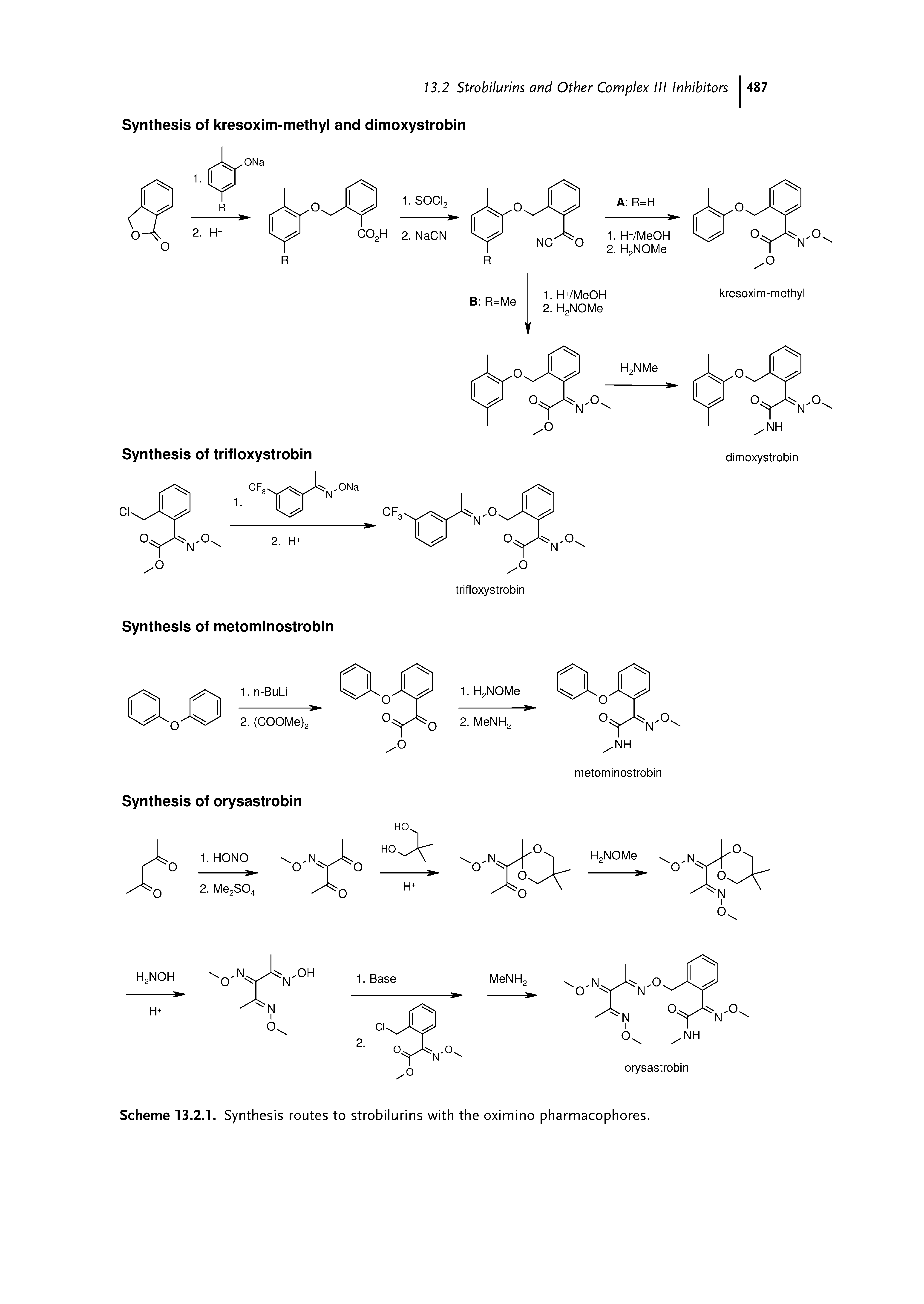 Scheme 13.2.1. Synthesis routes to strobilurins with the oximino pharmacophores.