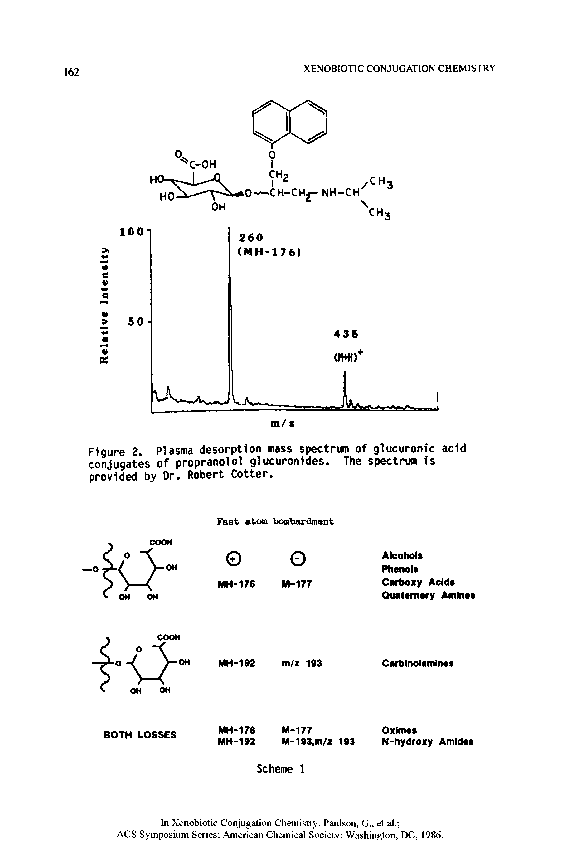 Figure 2 Plasma desorption mass spectrum of glucuronic acid conjugates of propranolol glucuronldes. The spectrum is provided by Dr. Robert Cotter.