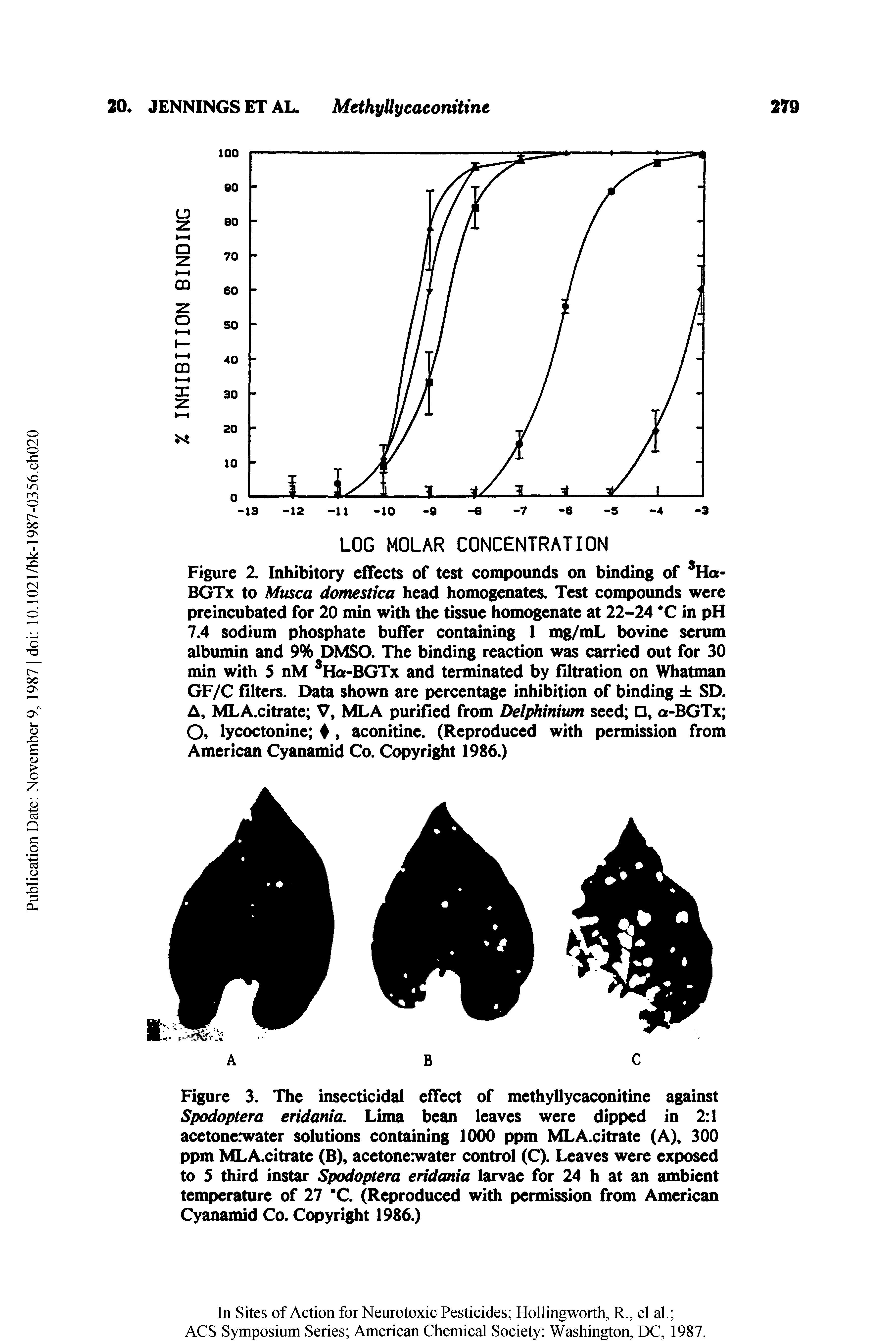 Figure 3. The insecticidal effect of methyllycaconitine against Spodoptera eridania. Lima bean leaves were dipped in 2 1 acetonerwater solutions containing 1000 ppm MLA.citrate (A), 300 ppm MLA.citrate (B), acetone.water control (C). Leaves were exposed to 5 third instar Spodoptera eridania larvae for 24 h at an ambient temperature of 27 C. (Reproduced with permission from American Cyanamid Co. Copyright 1986.)...