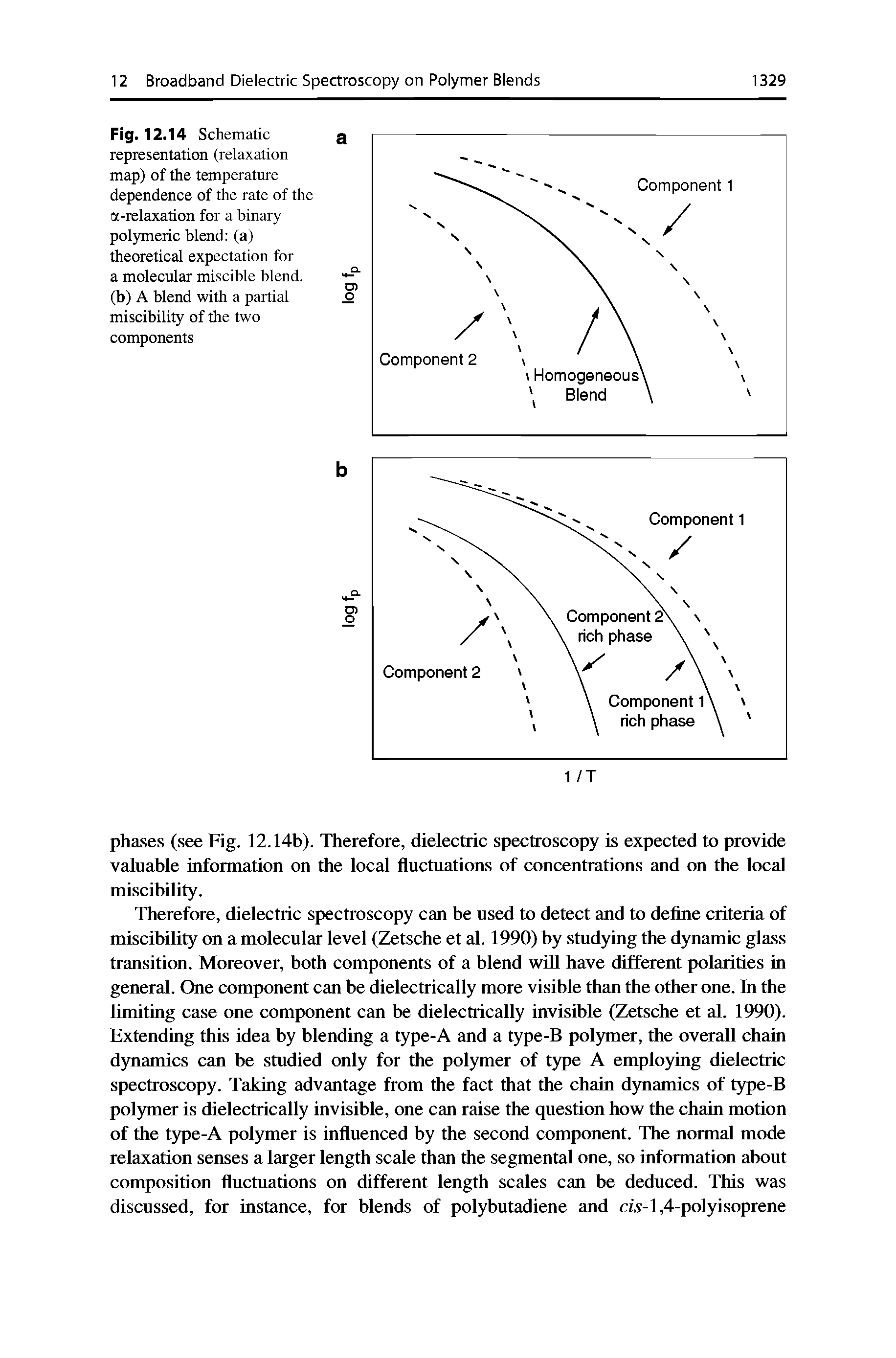 Fig. 12.14 Schematic representation (relaxation map) of the temperature dependence of the rate of the a-relaxation for a binary polymeric blend (a) theoretical expectation for a molecular miscible blend, (b) A blend with a partial miscibility of the two components...