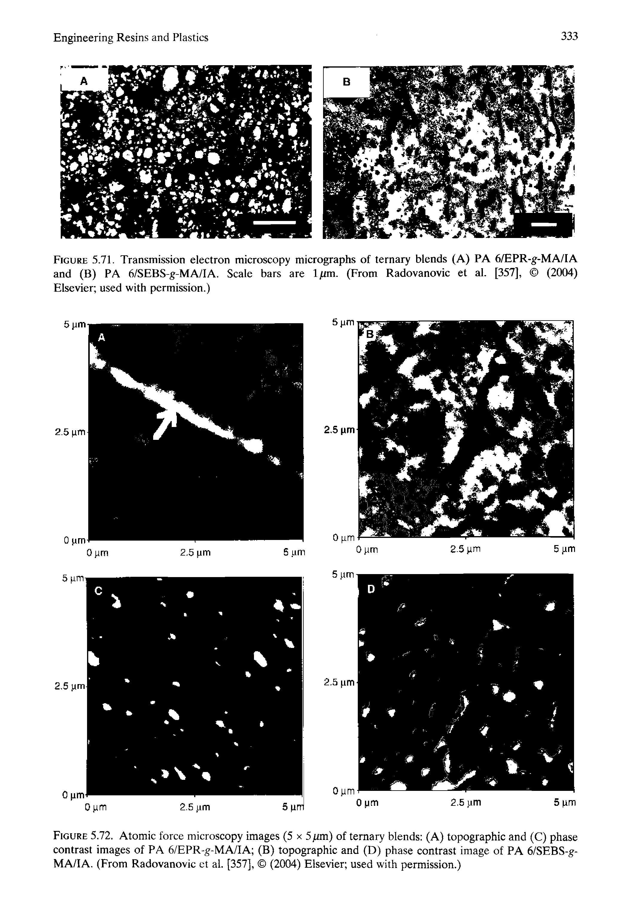Figure 5.72. Atomic force microscopy images (5 x 5fan) of ternary blends (A) topographic and (C) phase contrast images of PA 6/EPR-g-MA/IA (B) topographic and (D) phase contrast image of PA 6/SEBS-g-MA/IA. (From Radovanovic et al. [357], (2004) Elsevier used with permission.)...