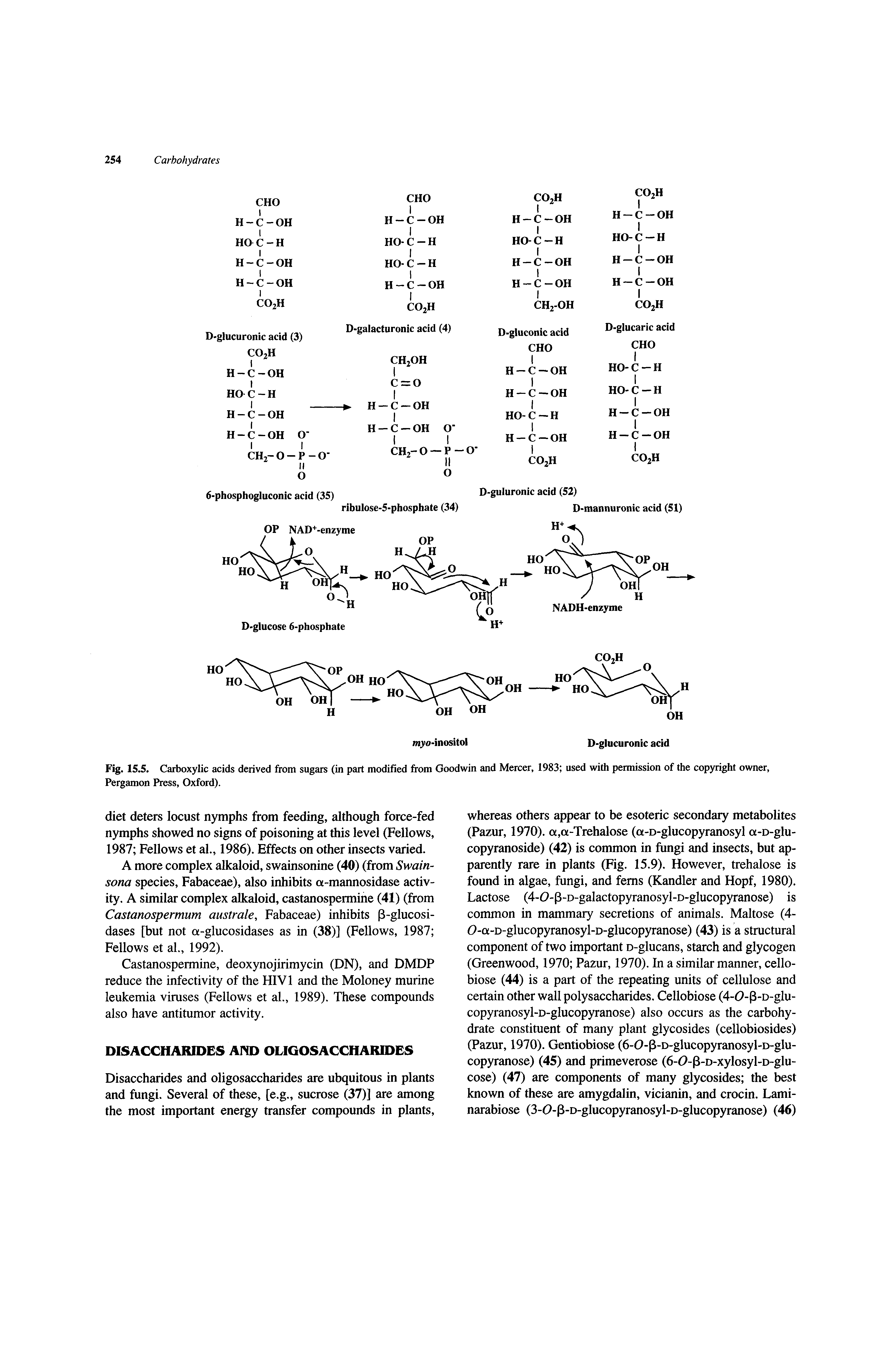 Fig. 15.5. Carboxylic acids derived from sugars (in part modified from Goodwin and Mercer, 1983 used with permission of the copyright owner, Pergamon Press, Oxford).