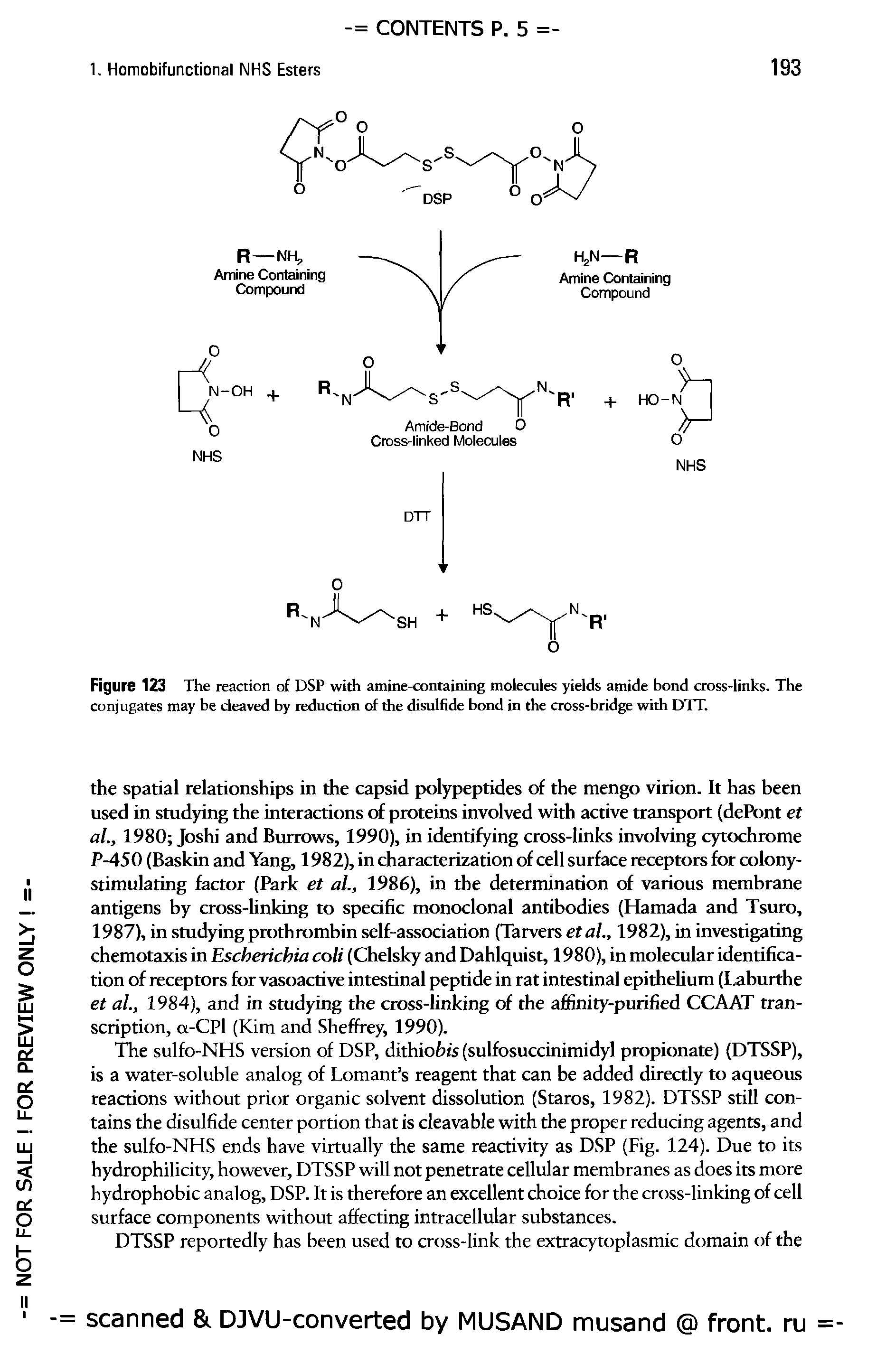 Figure 123 The reaction of DSP with amine-containing molecules yields amide bond cross-links. The conjugates may be cleaved by reduction of the disulfide bond in the cross-bridge with DTT.