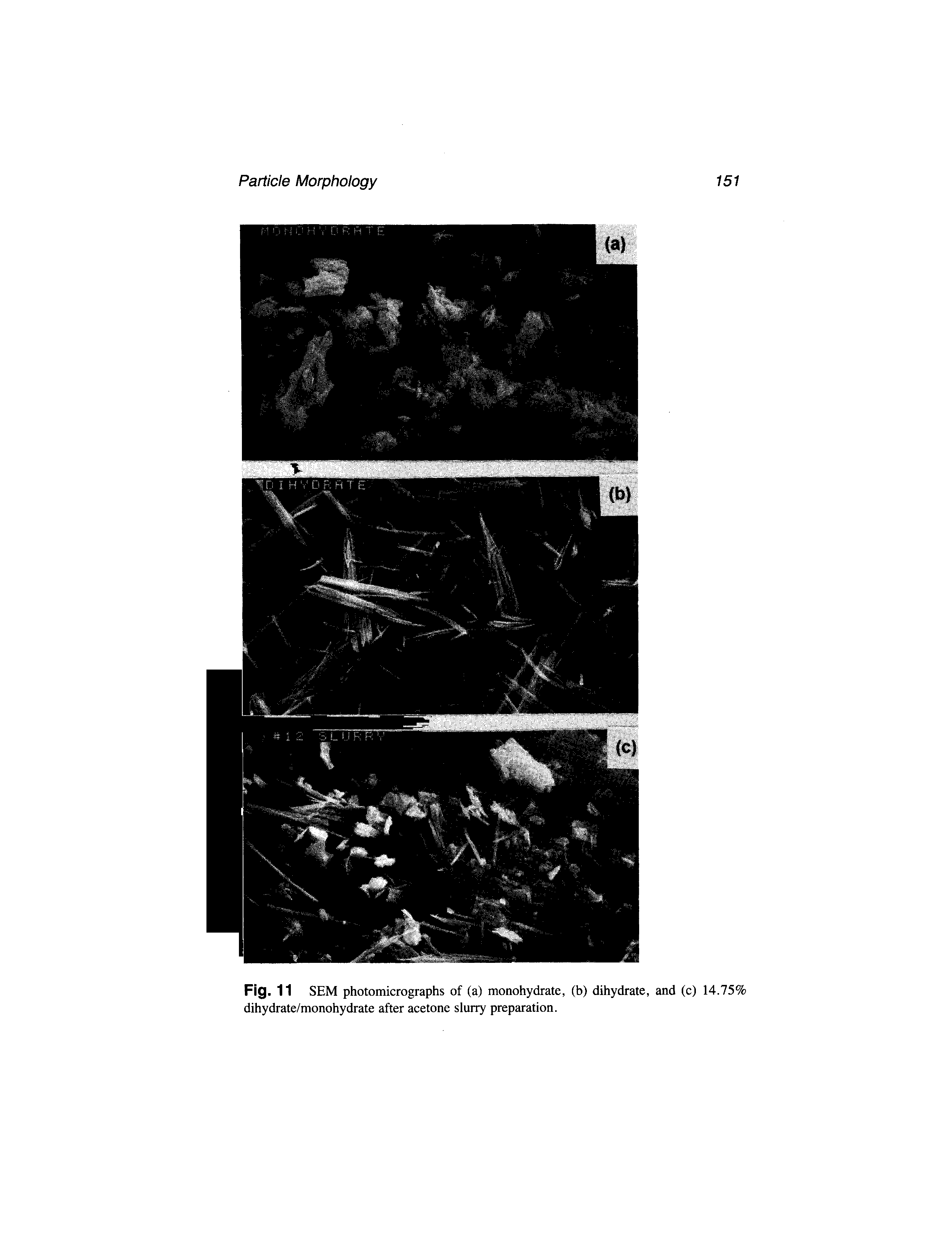 Fig. 11 SEM photomicrographs of (a) monohydrate, (b) dihydrate, and (c) 14.75% dihydrate/monohydrate after acetone slurry preparation.