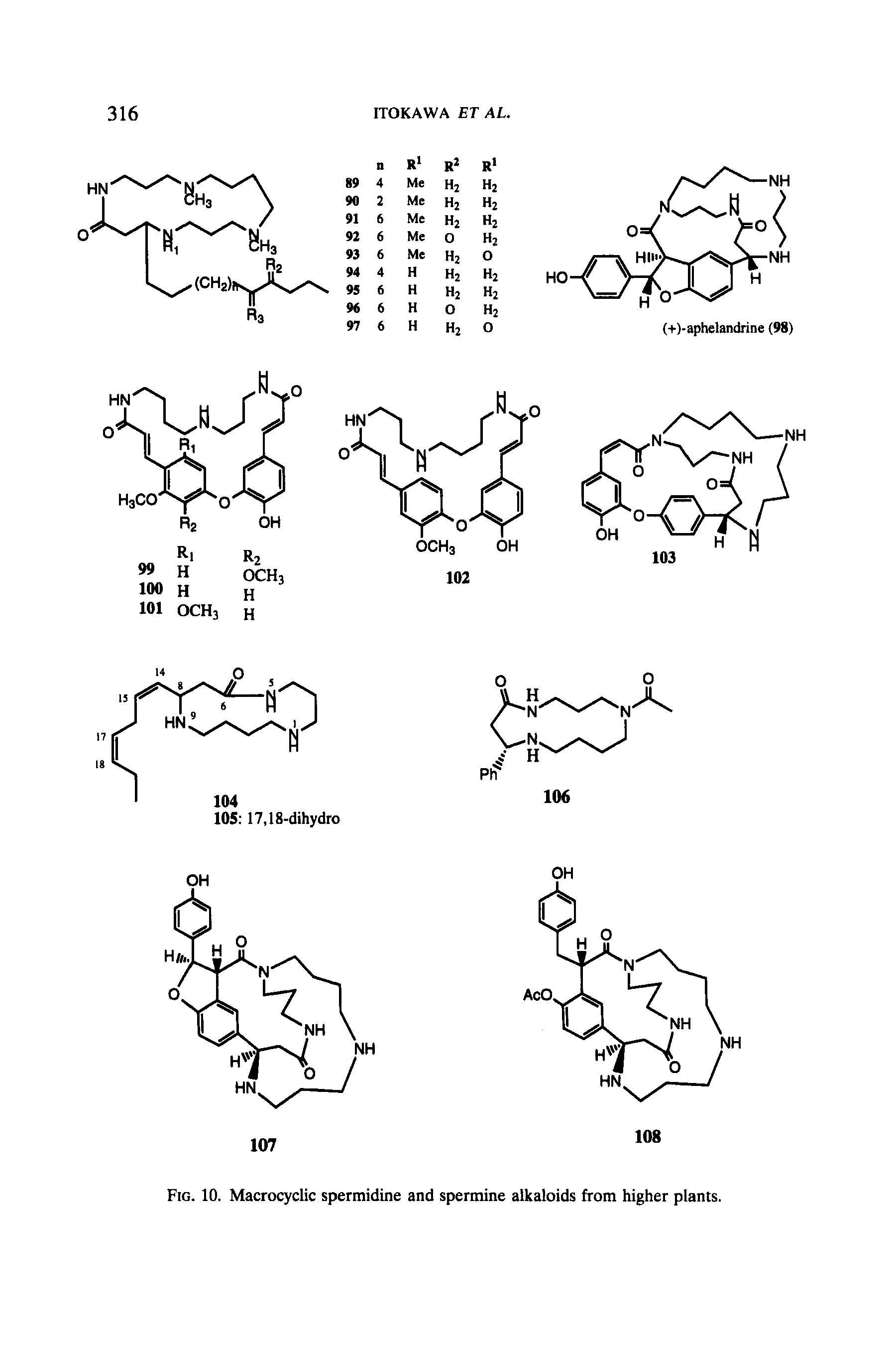 Fig. 10. Macrocyclic spermidine and spermine alkaloids from higher plants.