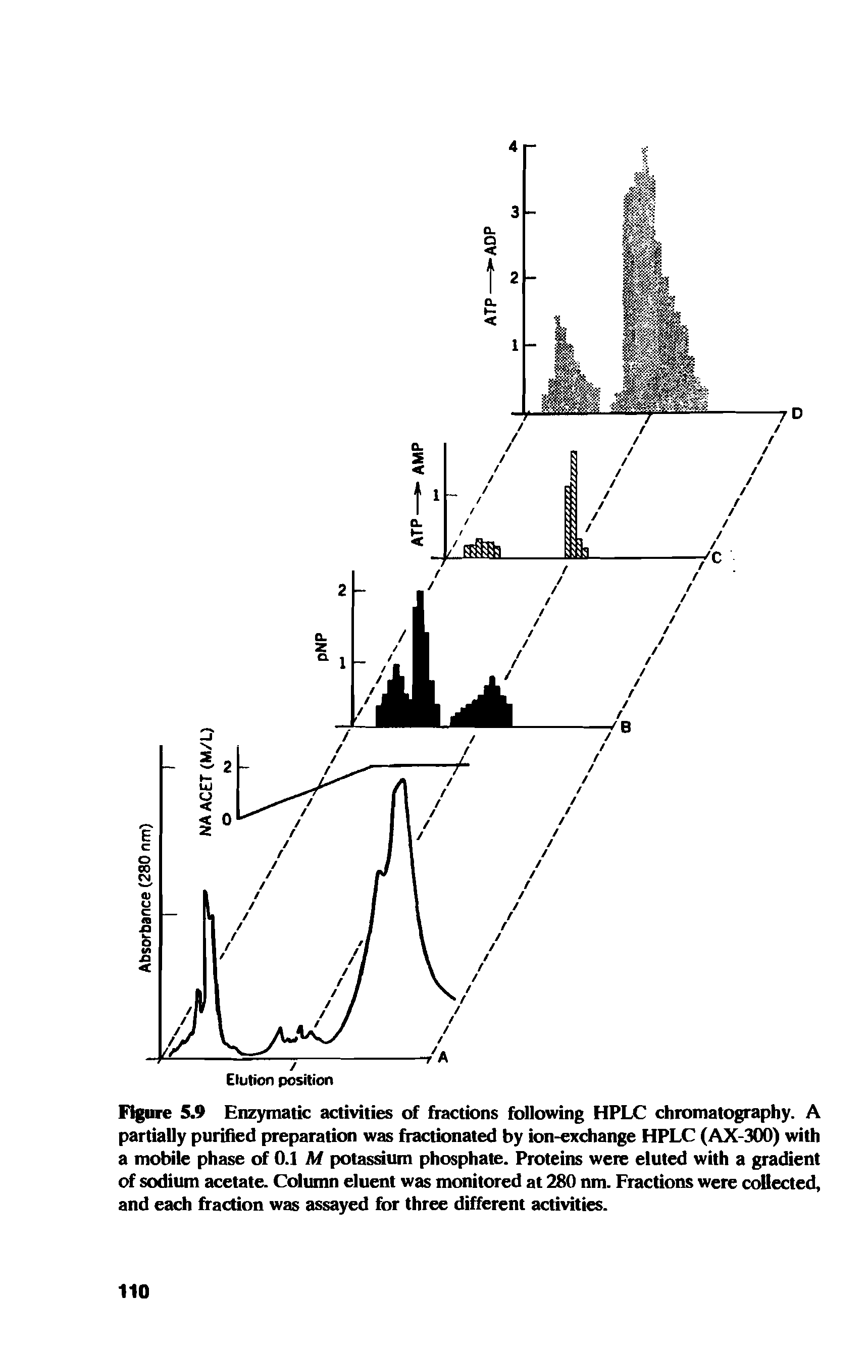 Figure 5.9 Enzymatic activities of fractions following HPLC chromatography. A partially purified preparation was fractionated by ion-exchange HPLC (AX-300) with a mobile phase of 0.1 M potassium phosphate. Proteins were eluted with a gradient of sodium acetate. Column eluent was monitored at 280 nm. Fractions were collected, and each fraction was assayed for three different activities.