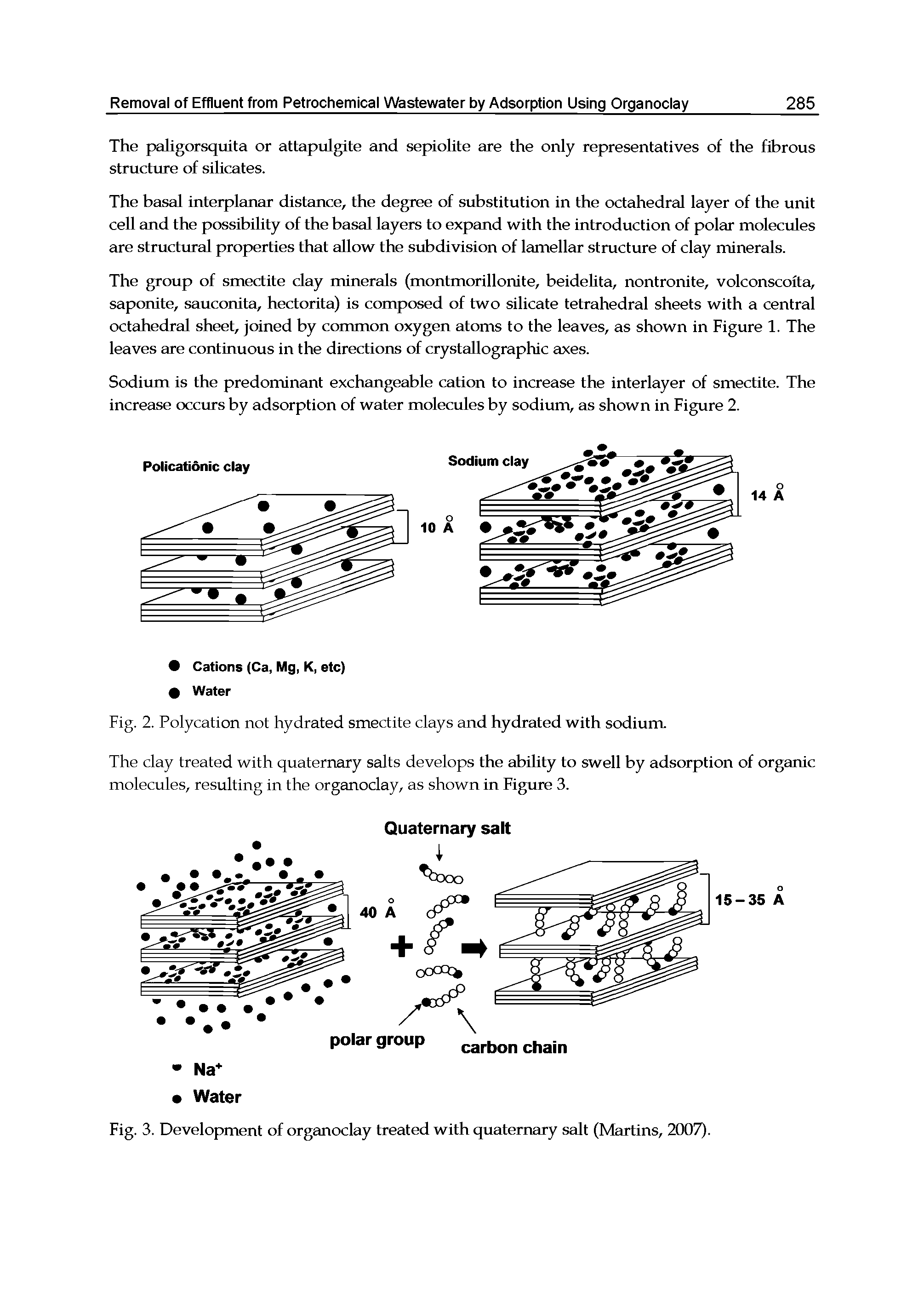 Fig. 2. Polycation not hydrated smectite clays and hydrated with sodium.