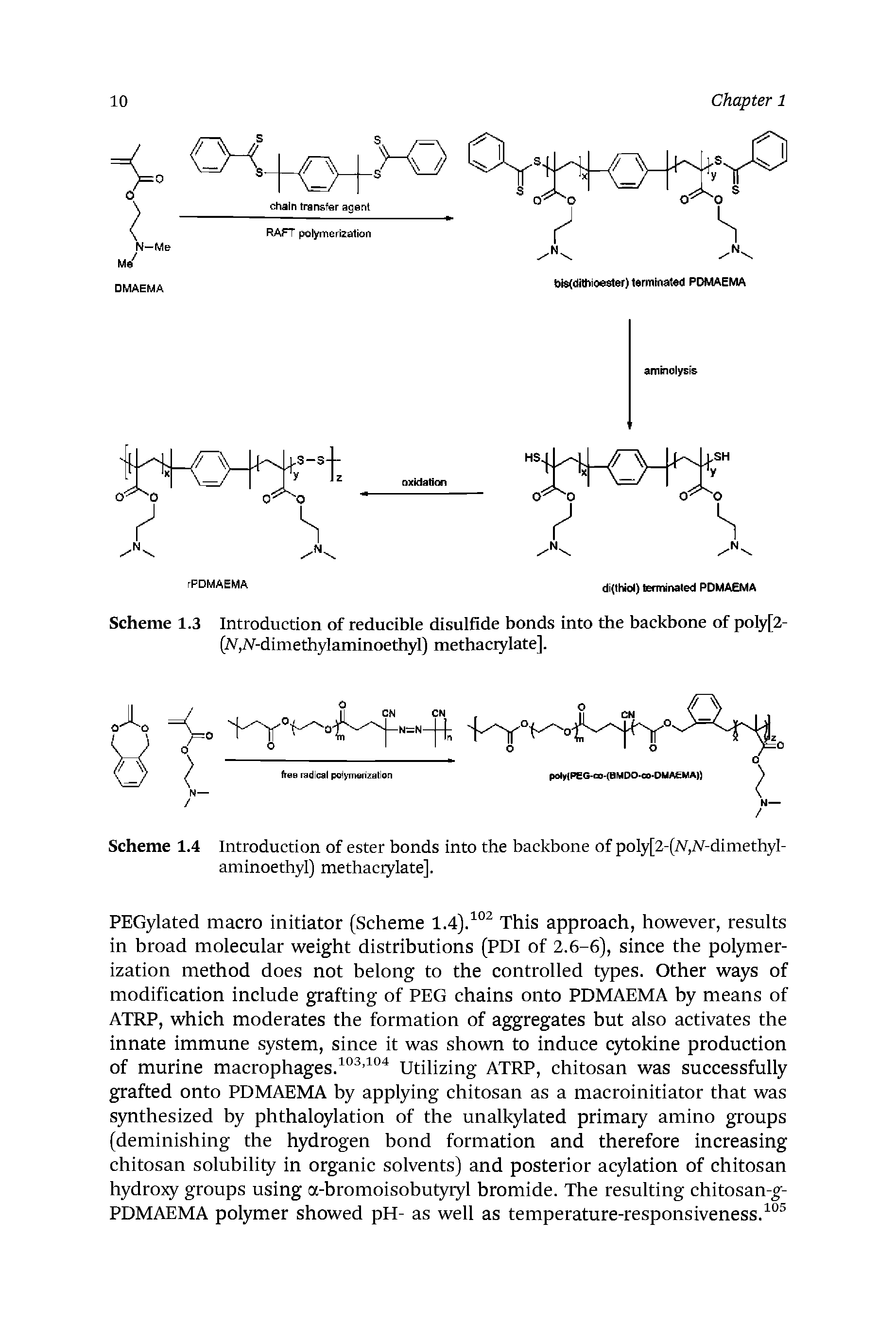 Scheme 1.4 Introduction of ester bonds into the backbone of poly[2-(Ar -dimethyI-aminoethyl) methacrylate].