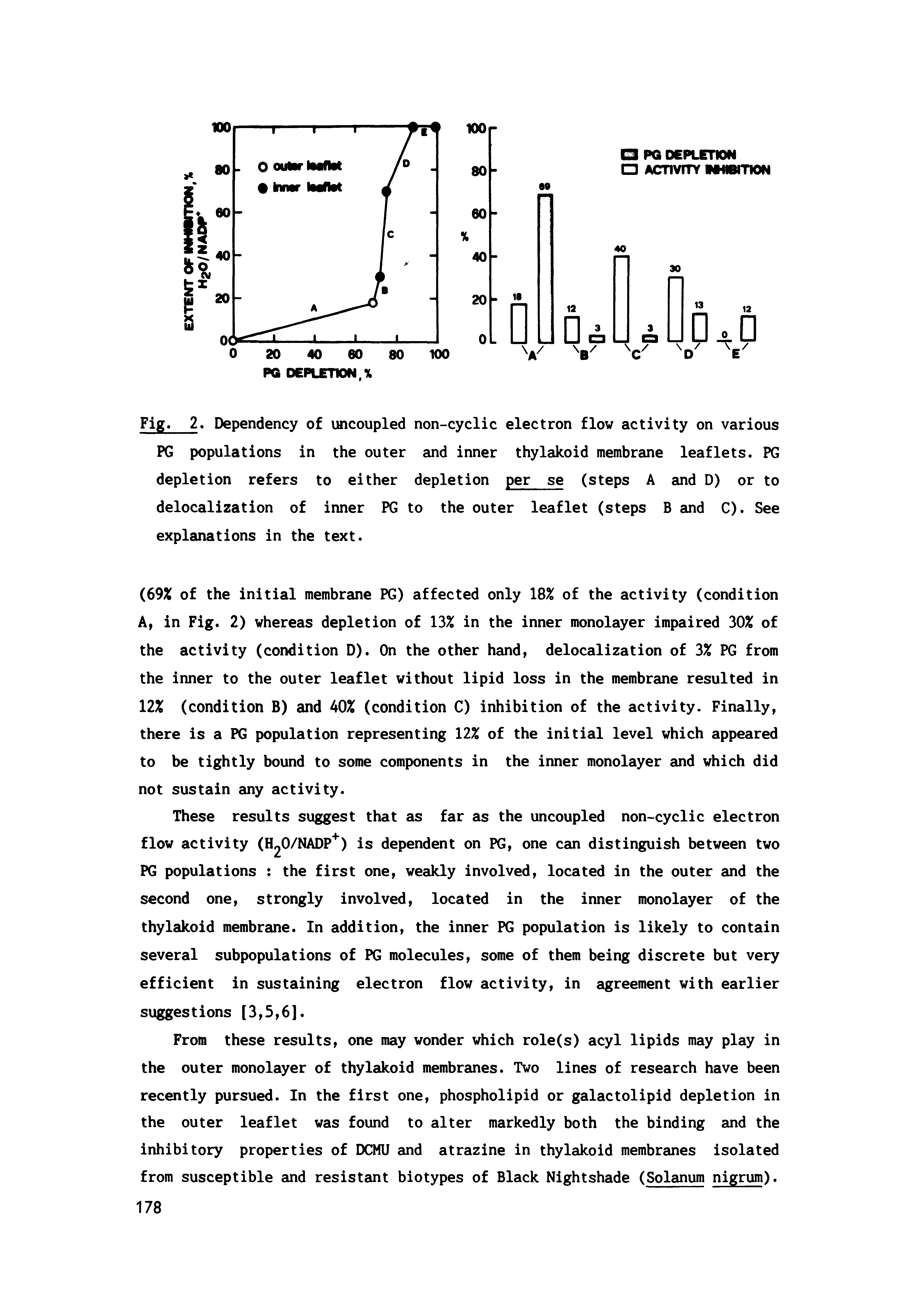 Fig. 2 Dependency of uncoupled non-cyclic electron flow activity on various PG populations in the outer and inner thylakoid membrane leaflets. PG depletion refers to either depletion per se (steps A and D) or to delocalization of inner PG to the outer leaflet (steps B and C). See explanations in the text.