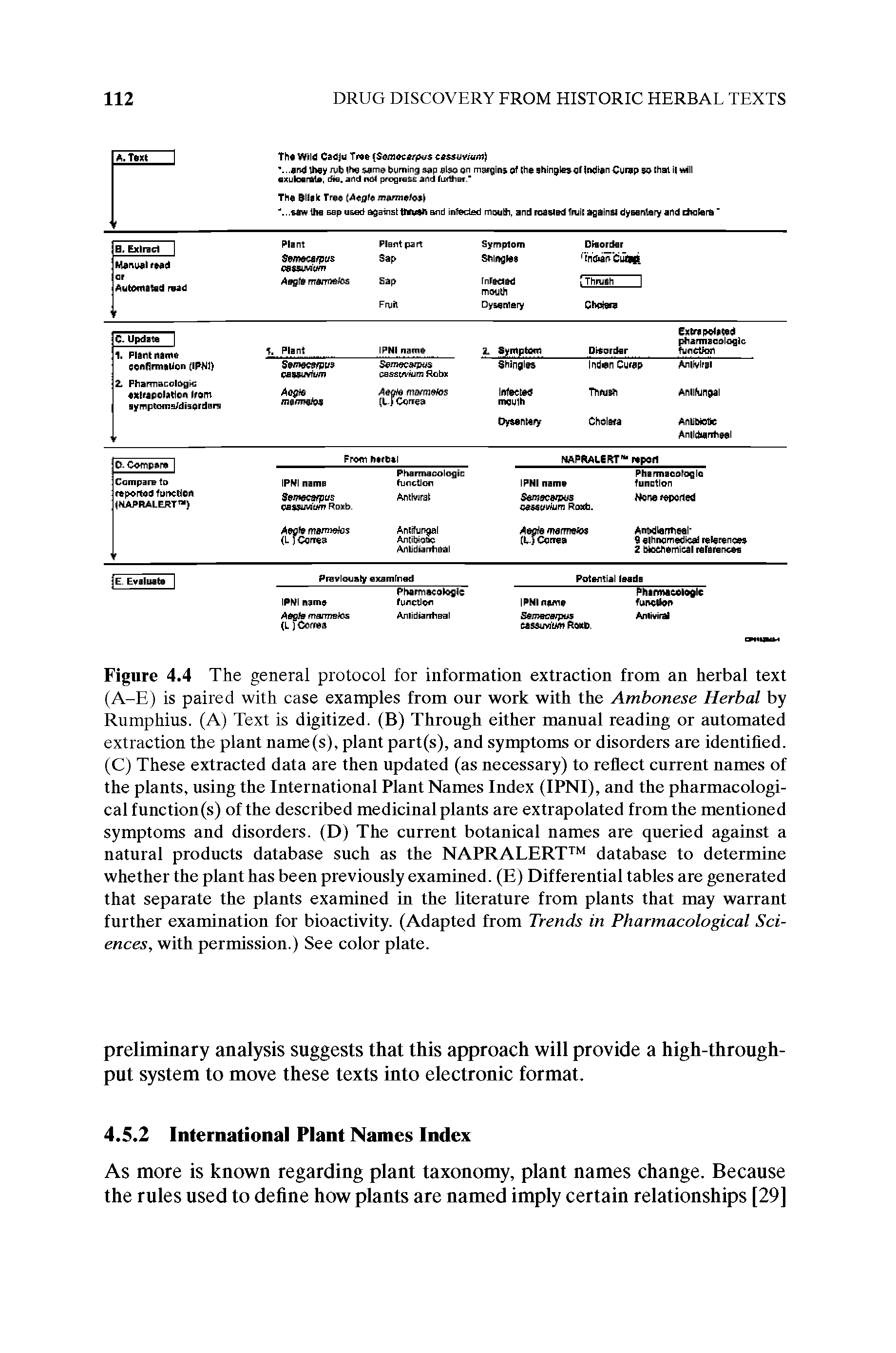 Figure 4.4 The general protocol for information extraction from an herbal text (A-E) is paired with case examples from our work with the Ambonese Herbal by Rumphius. (A) Text is digitized. (B) Through either manual reading or automated extraction the plant name(s), plant part(s), and symptoms or disorders are identified. (C) These extracted data are then updated (as necessary) to reflect current names of the plants, using the International Plant Names Index (IPNI), and the pharmacological function(s) of the described medicinal plants are extrapolated from the mentioned symptoms and disorders. (D) The current botanical names are queried against a natural products database such as the NAPRALERT database to determine whether the plant has been previously examined. (E) Differential tables are generated that separate the plants examined in the literature from plants that may warrant further examination for bioactivity. (Adapted from Trends in Pharmacological Sciences, with permission.) See color plate.