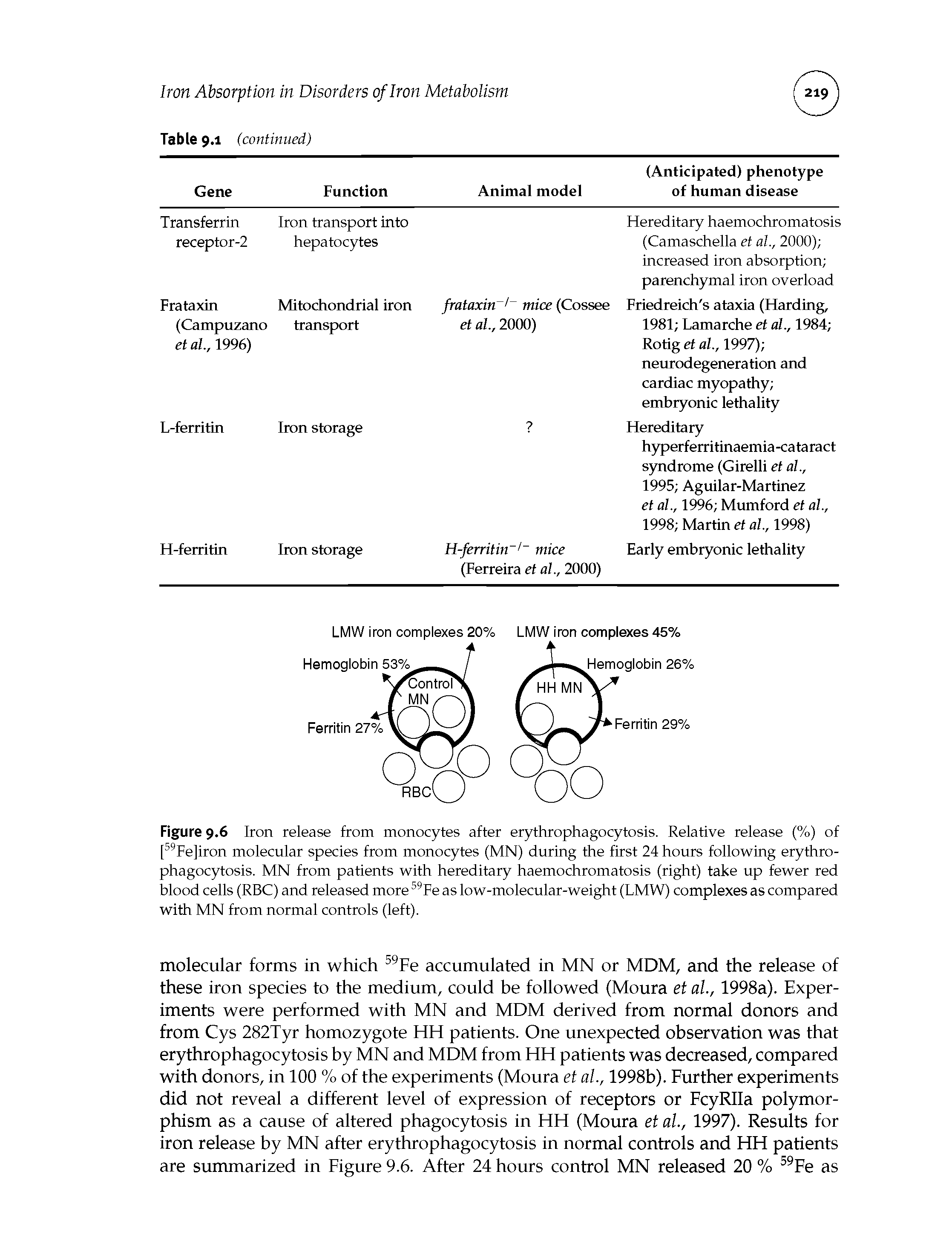 Figure 9.6 Iron release from monocytes after erythrophagocytosis. Relative release (%) of [59Fe]iron molecular species from monocytes (MN) during the first 24 hours following erythrophagocytosis. MN from patients with hereditary haemochromatosis (right) take up fewer red blood cells (RBC) and released more 59Fe as low-molecular-weight (LMW) complexes as compared with MN from normal controls (left).