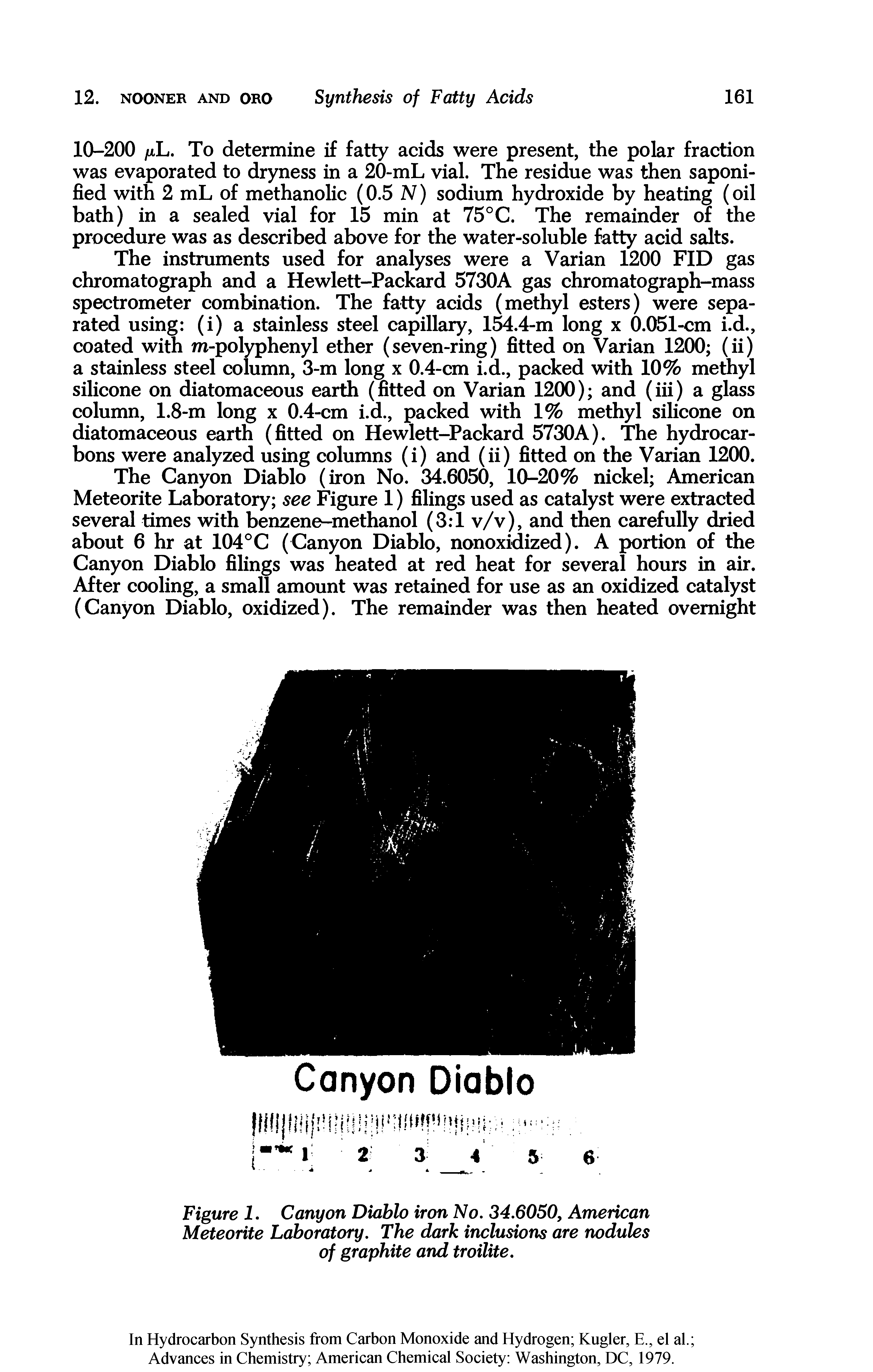 Figure I. Canyon Diablo iron No, 34,6050, American Meteorite Laboratory, The dark inclusions are nodules of graphite and troilite.