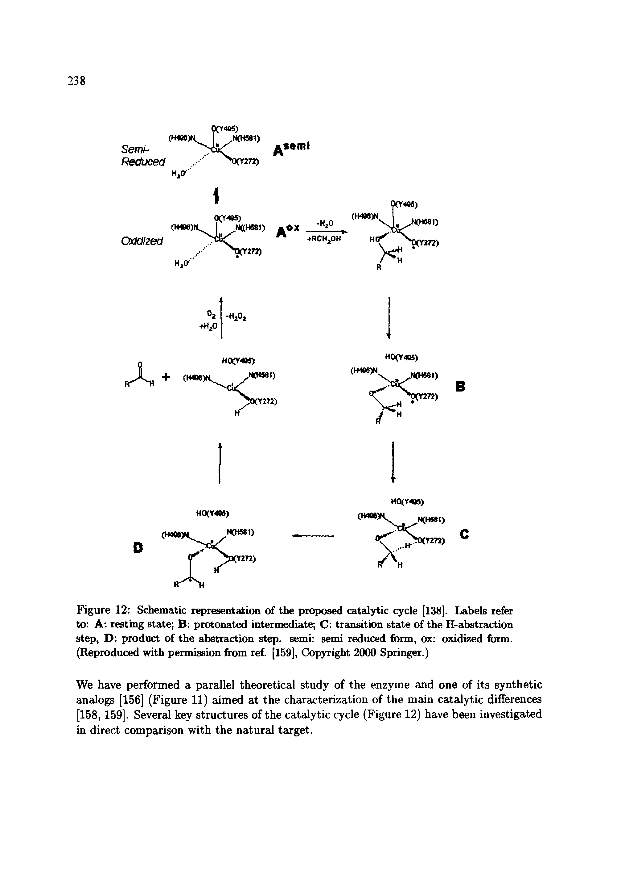 Figure 12 Schematic representation of the proposed cat2dytic cycle [138]. Labels refer to A resting state B protonated intermediate C transition state of the H-abstraction step, D product of the abstraction step, semi semi reduced form, ox oxidized form. (Reproduced with permission fix>m ref [159], Copyright 2000 Springer.)...