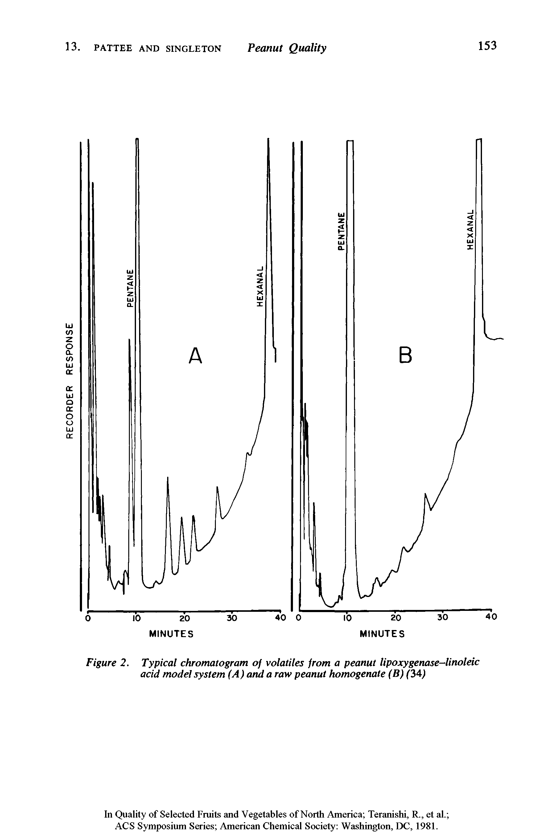 Figure 2. Typical chromatogram of volatiles from a peanut Hpoxygenase-linoleic acid model system (A) arid a raw peanut homogerutte (B) (34)...