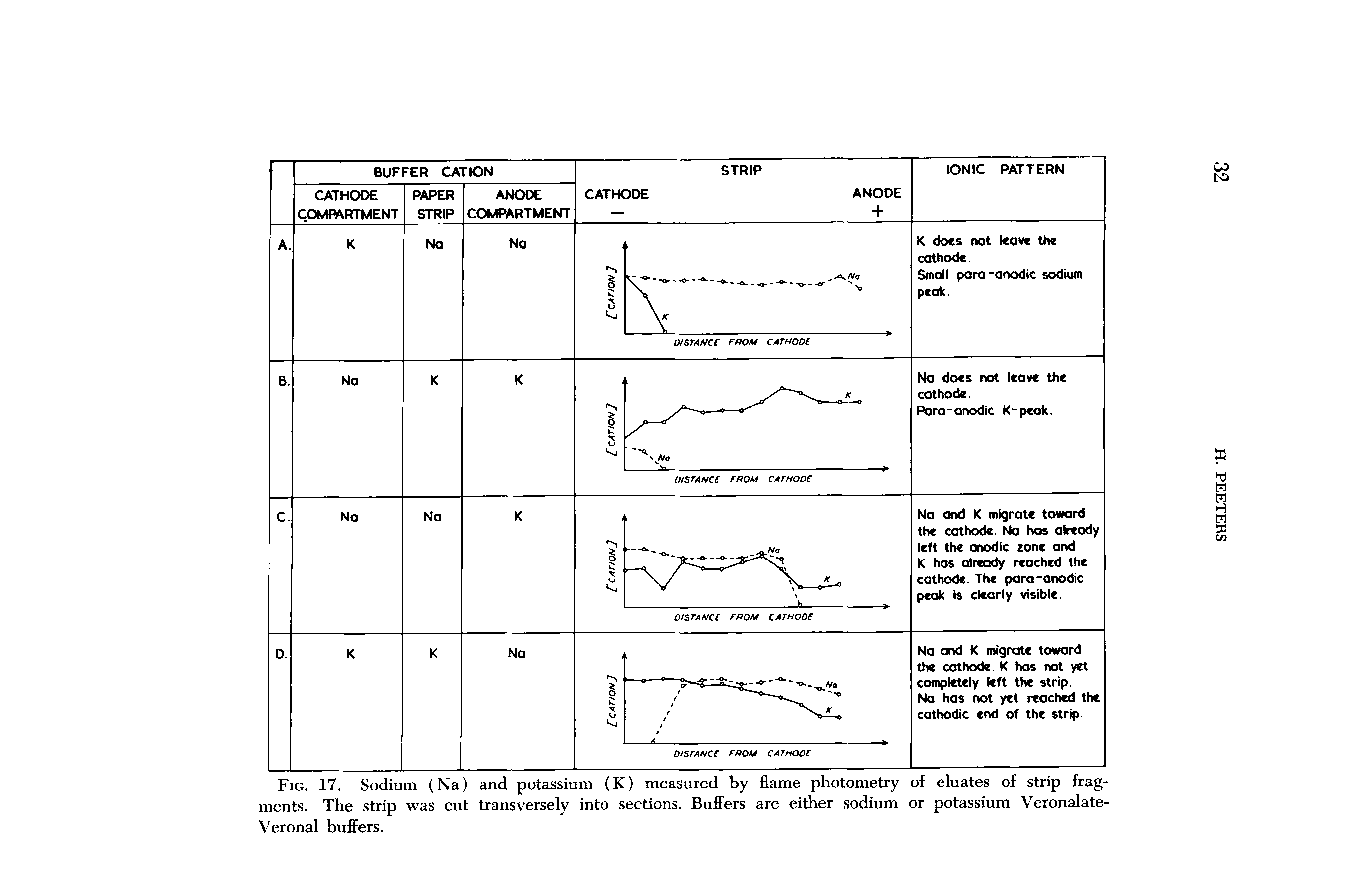 Fig. 17. Sodium (Na) and potassium (K) measured by flame photometry of eluates of strip fragments. The strip was cut transversely into sections. Buffers are either sodium or potassium Veronalate-Veronal buffers.