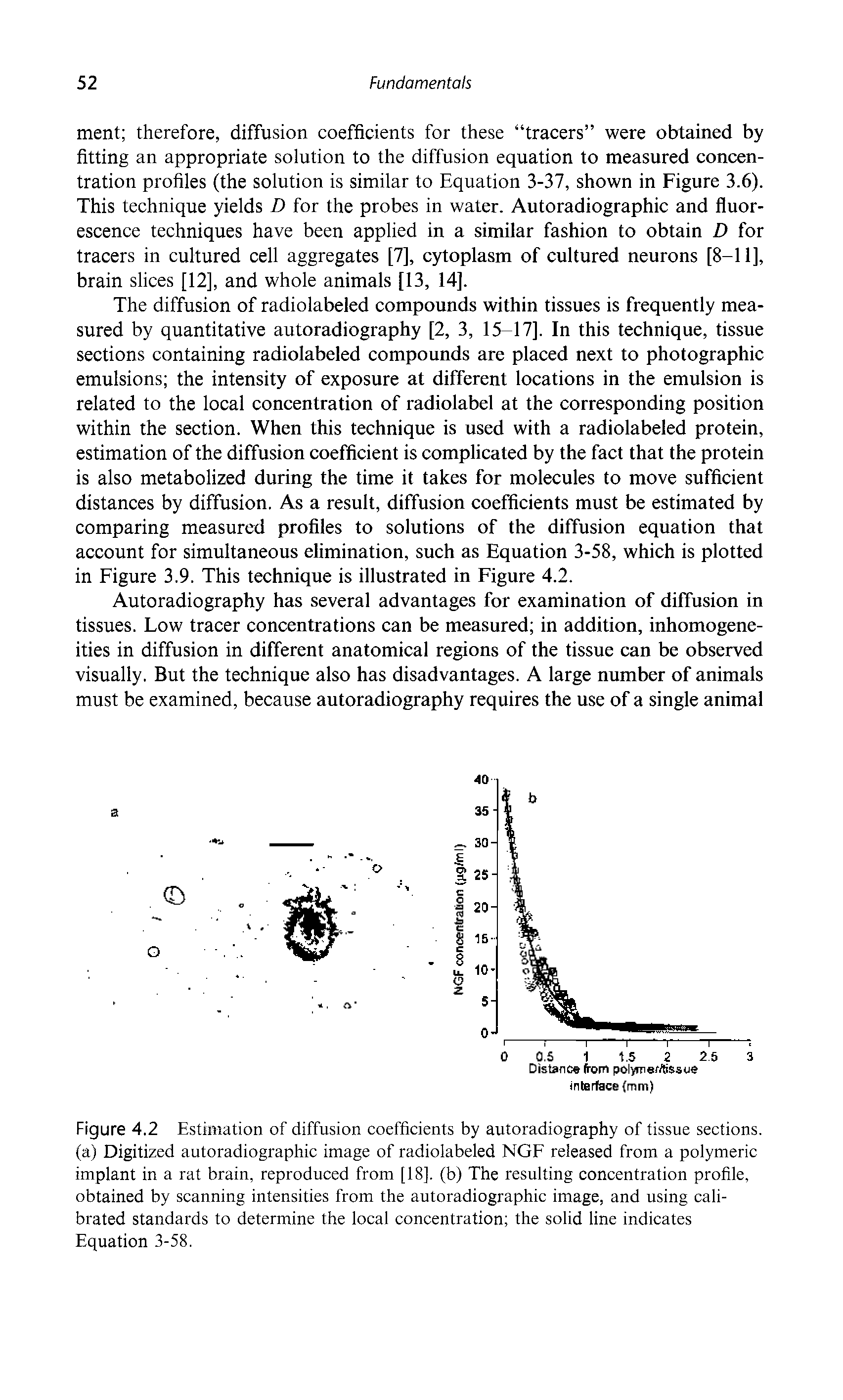 Figure 4.2 Estimation of diffusion coefficients by autoradiography of tissue sections, (a) Digitized autoradiographic image of radiolabeled NGF released from a polymeric implant in a rat brain, reproduced from [18]. (b) The resulting concentration profile, obtained by scanning intensities from the autoradiographic image, and using calibrated standards to determine the local concentration the solid line indicates Equation 3-58.