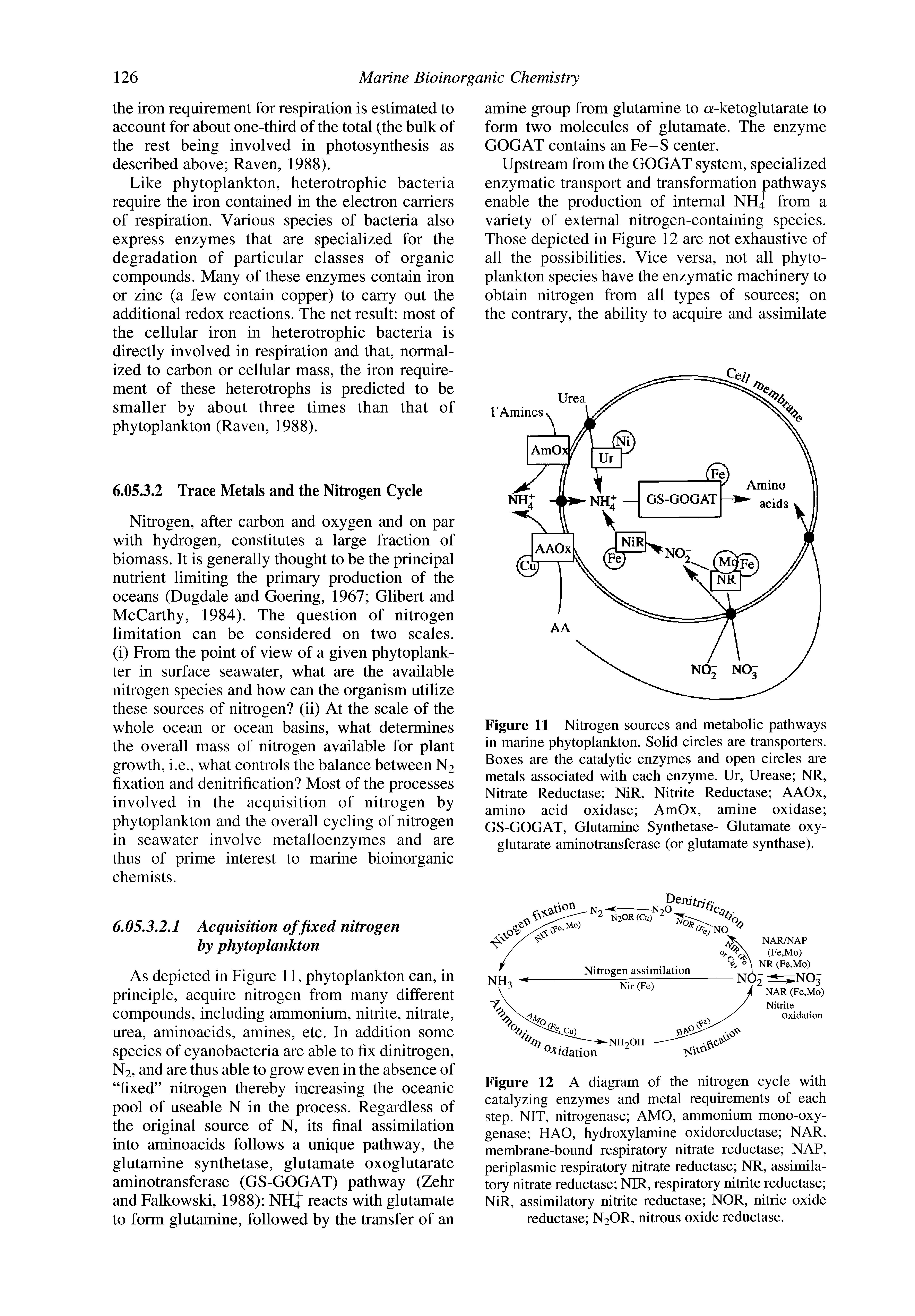 Figure 12 A diagram of the nitrogen cycle with catalyzing enzymes and metal requirements of each step. NIT, nitrogenase AMO, ammonium mono-oxygenase HAO, hydroxylamine oxidoreductase NAR, membrane-bound respiratory nitrate reductase NAP, periplasmic respiratory nitrate reductase NR, assimila-tory nitrate reductase NIR, respiratory nitrite reductase NiR, assimilatory nitrite reductase NOR, nitric oxide reductase N2OR, nitrous oxide reductase.