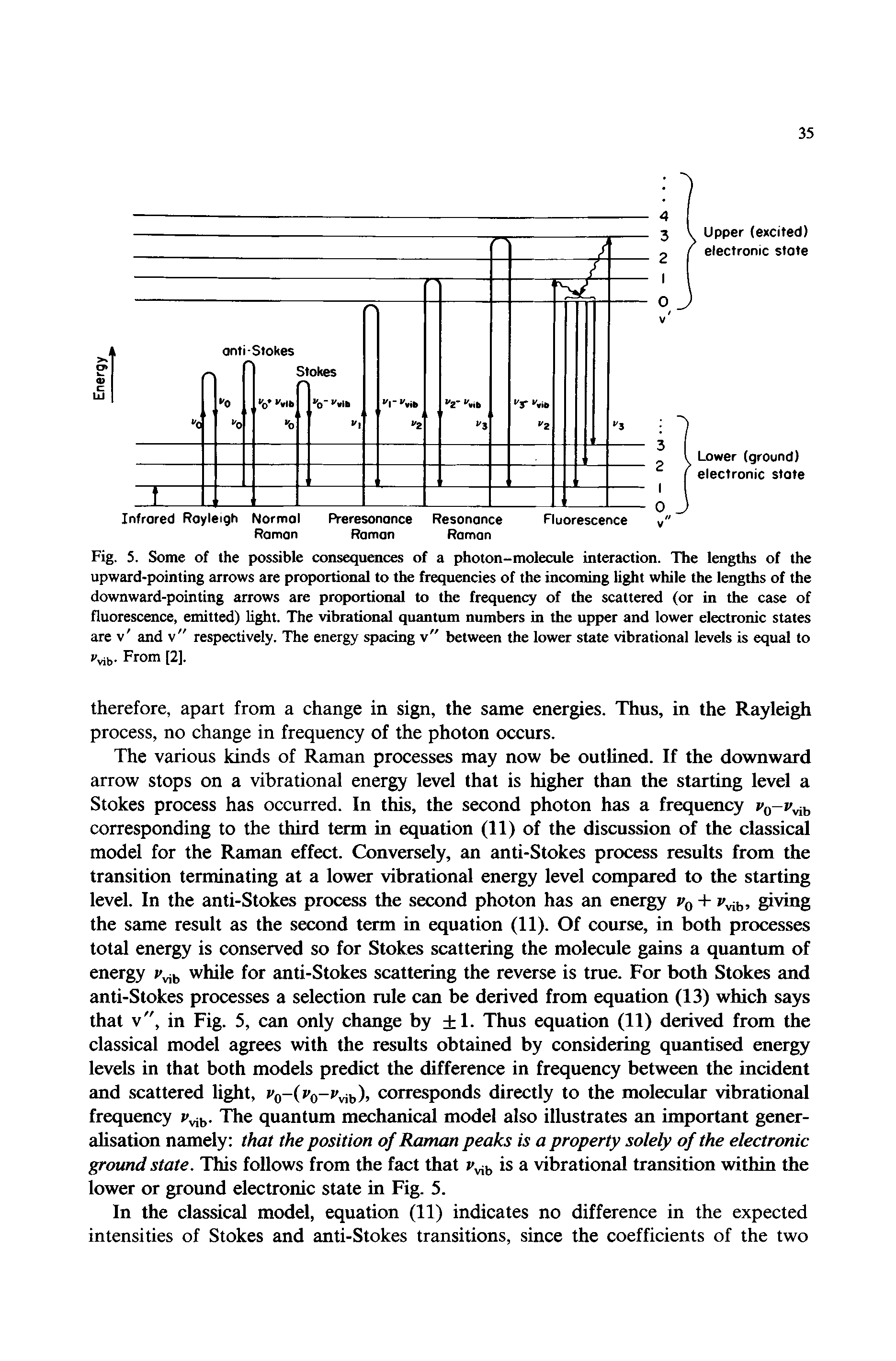 Fig. 5. Some of the possible consequences of a photon-molecule interaction. The lengths of the upward-pointing arrows are proportional to the frequencies of the incoming light while the lengths of the downward-pointing arrows are proportional to the frequency of the scattered (or in the case of fluorescence, emitted) light. The vibrational quantum numbers in the upper and lower electronic states are v and v" respectively. The energy spacing v" between the lower state vibrational levels is equal to From [2].