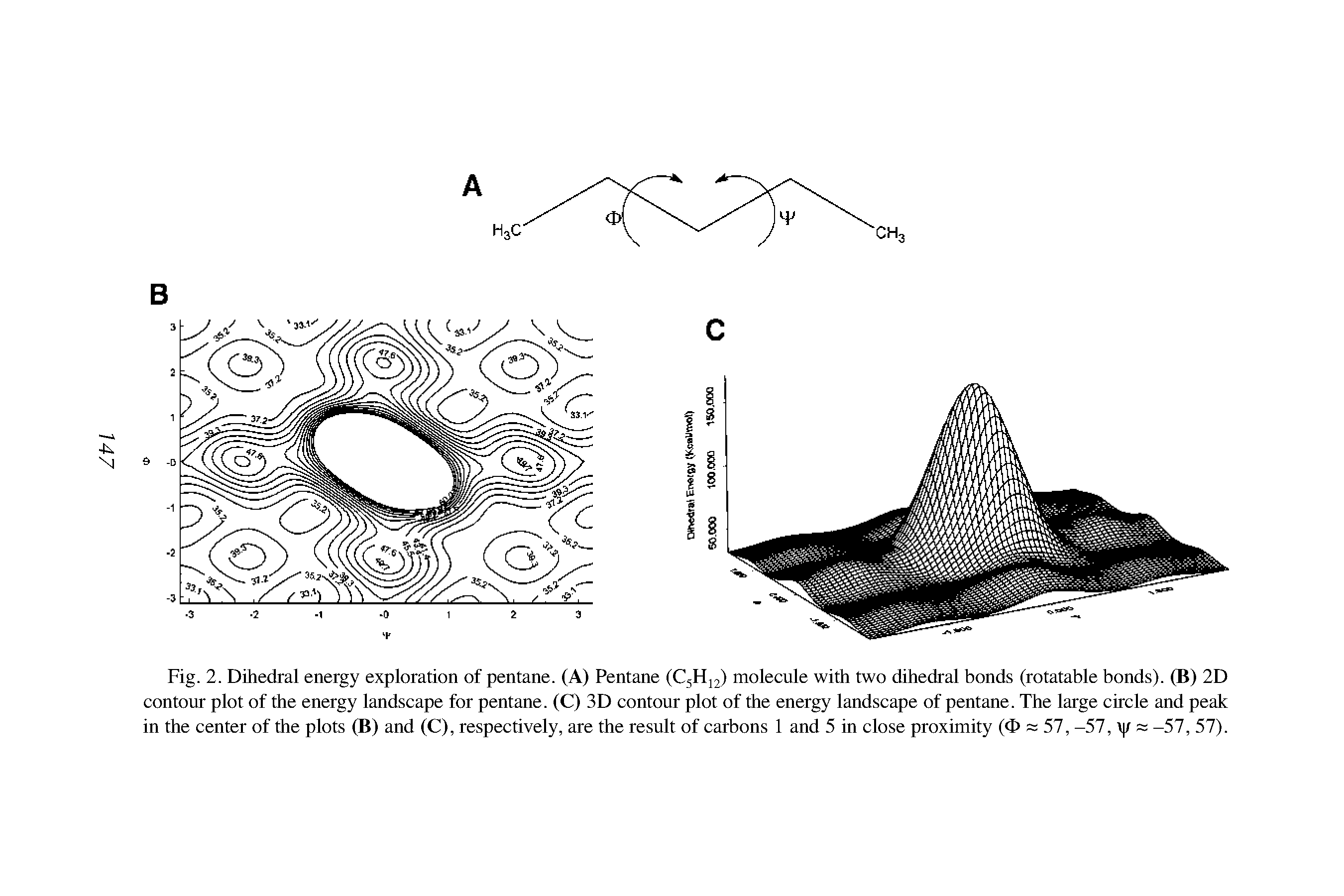 Fig. 2. Dihedral energy exploration of pentane. (A) Pentane (C5H12) molecule with two dihedral bonds (rotatable bonds). (B) 2D contour plot of the energy landscape for pentane. (C) 3D contour plot of the energy landscape of pentane. The large circle and peak in the center of the plots (B) and (C), respectively, are the result of carbons 1 and 5 in close proximity (<E> = 57, -57, / = -57, 57).
