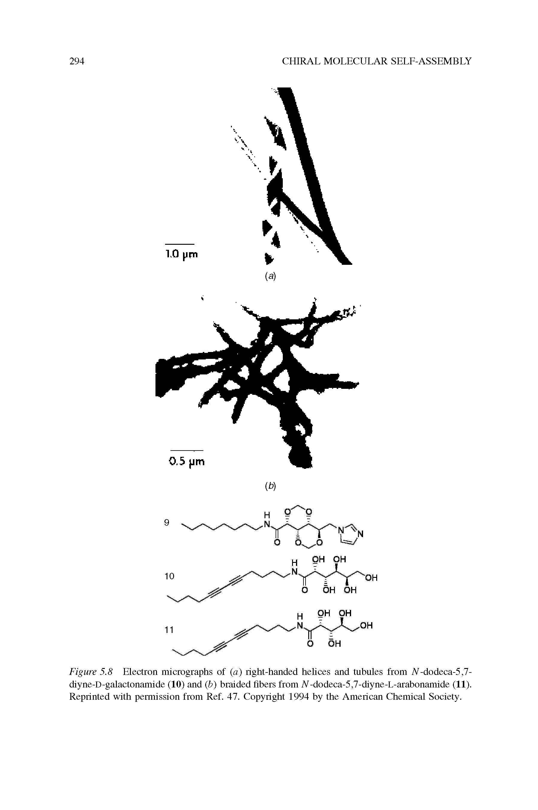 Figure 5.8 Electron micrographs of (a) right-handed helices and tubules from A-dodeca-5,7-diyne-D-galactonamide (10) and (b) braided fibers from A-dodeca-5,7-diyne-L-arabonamide (11). Reprinted with permission from Ref. 47. Copyright 1994 by the American Chemical Society.